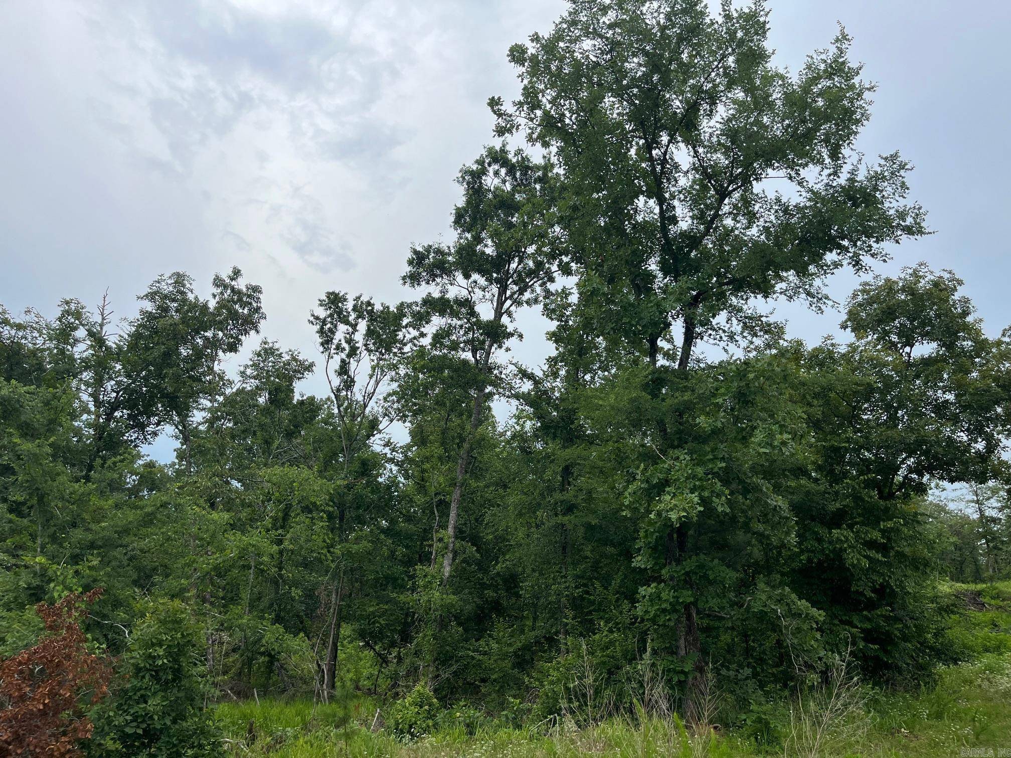 Bismarck, AR 71929-0000,TBD Shouse Ford Road
