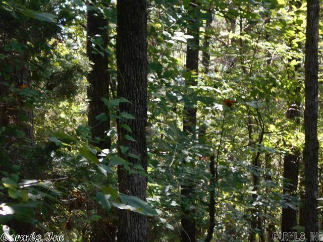 Heber Springs, AR 72543,00 W Main Highway