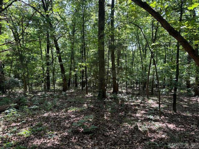 Pocahontas, AR 72455,TBD Springview Road