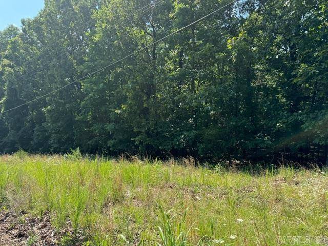 Pocahontas, AR 72455,TBD Springview Road