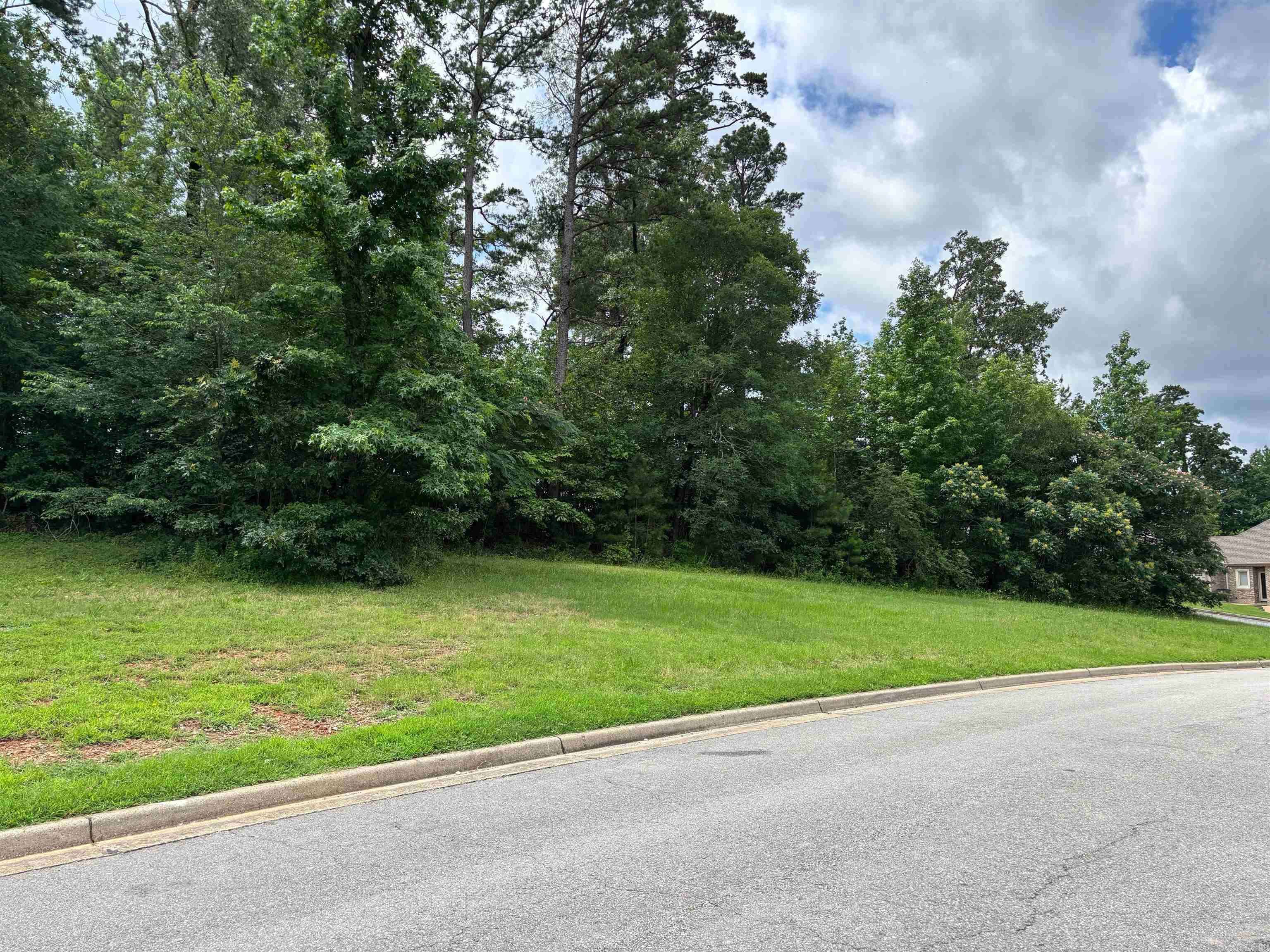 Lakeside, AR 71901,TBD Arlington Park Court