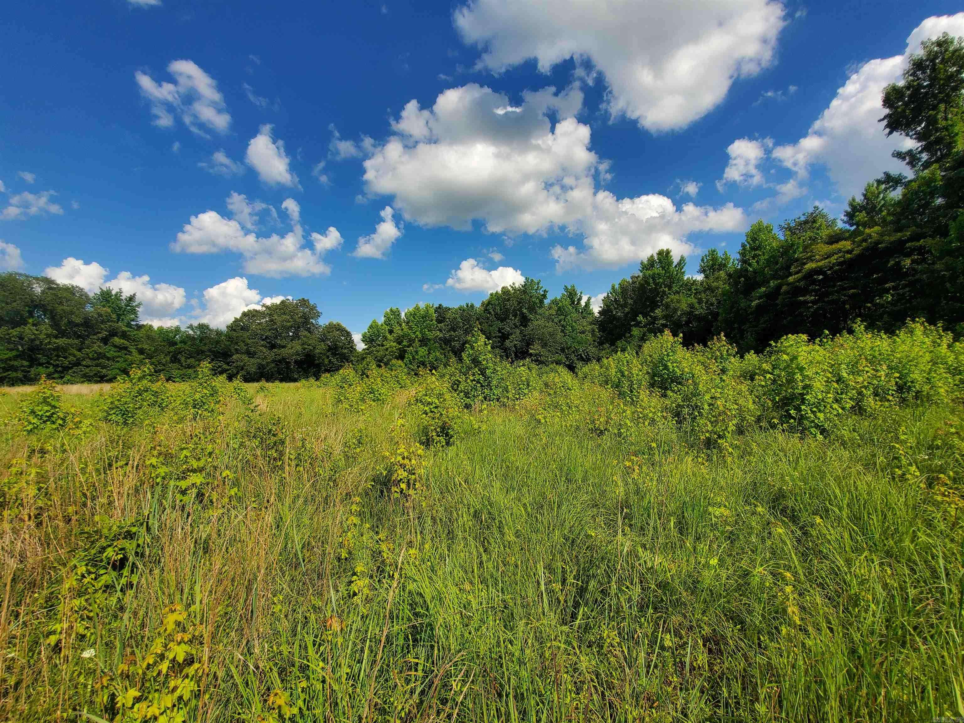 Piggott, AR 72454,1306  CR 461