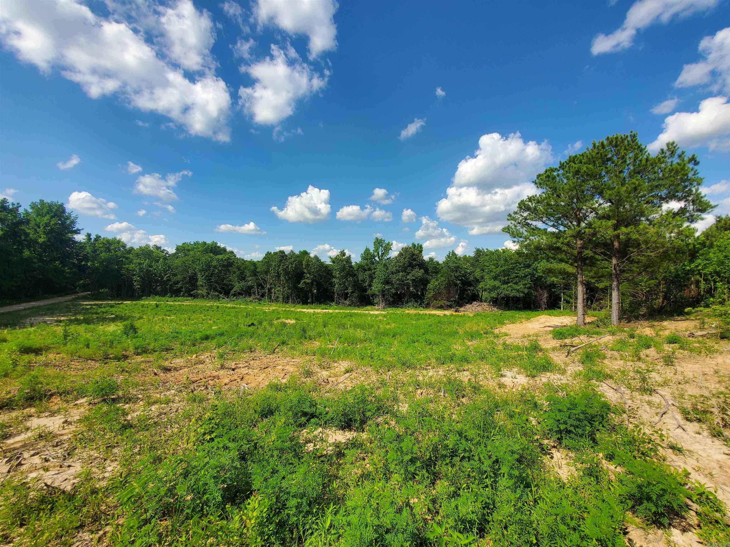 Piggott, AR 72454,1306  CR 461