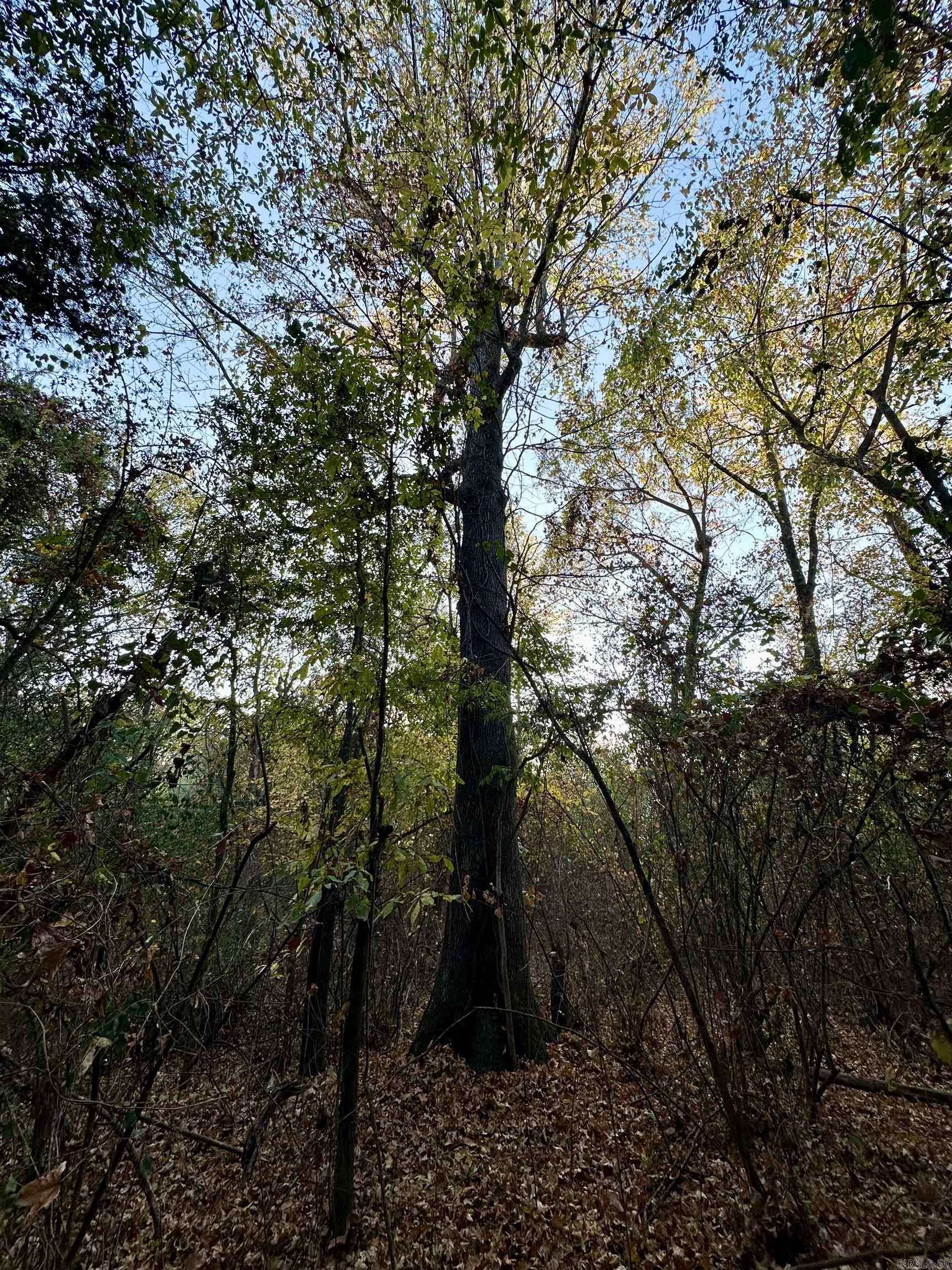 Mena, AR 71953,Lots 17-21 Westmoreland Heights