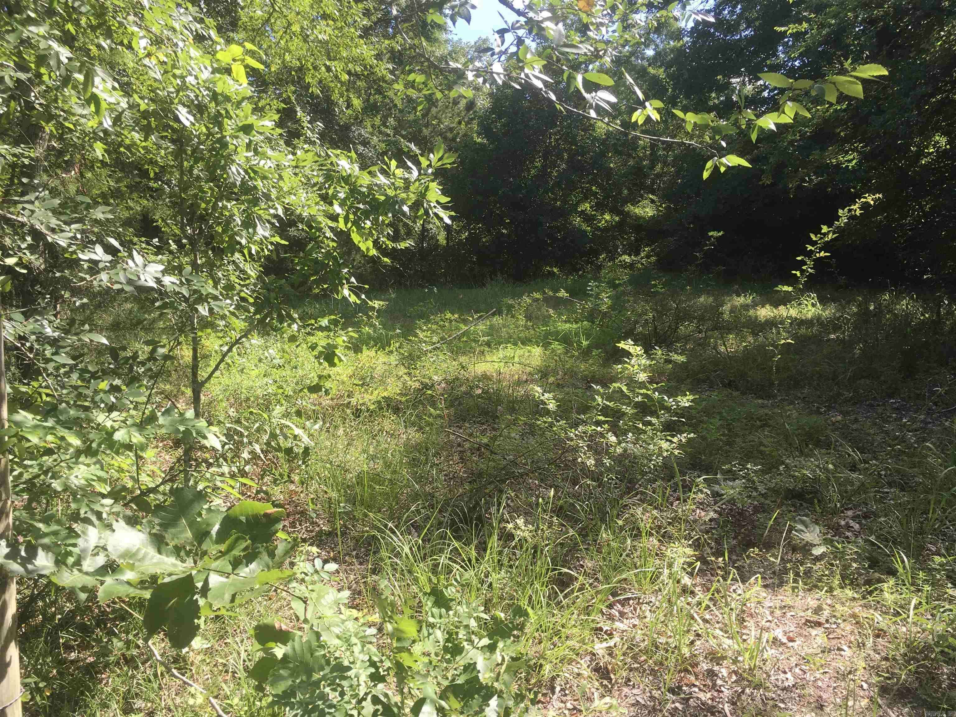 Mena, AR 71953-0000,TBD Weeping Willow lane
