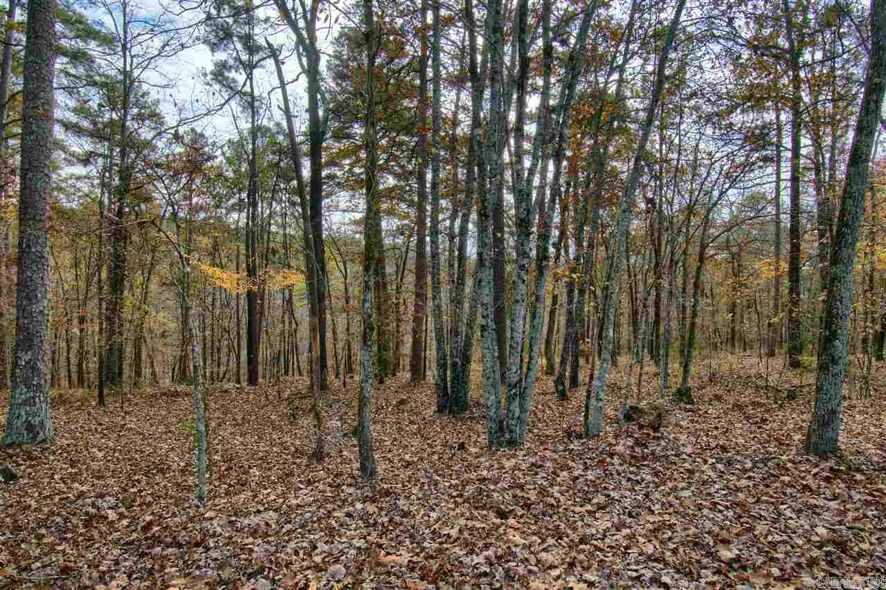 Hot Springs Village, AR 71909,11 Acaso Lane