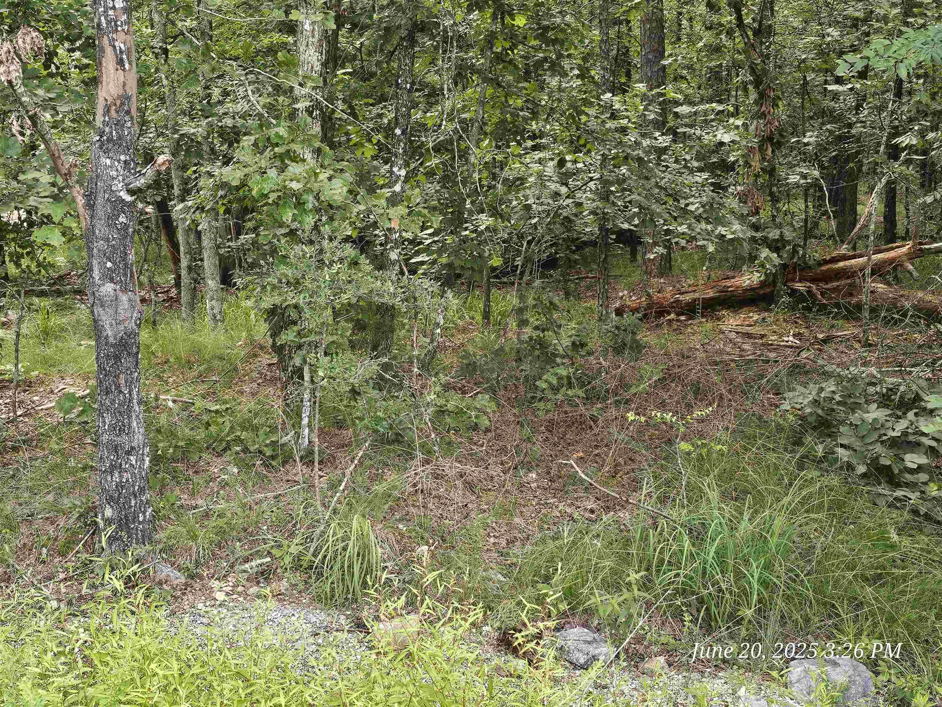 Hot Springs Village, AR 71909,65 Justa Via Way