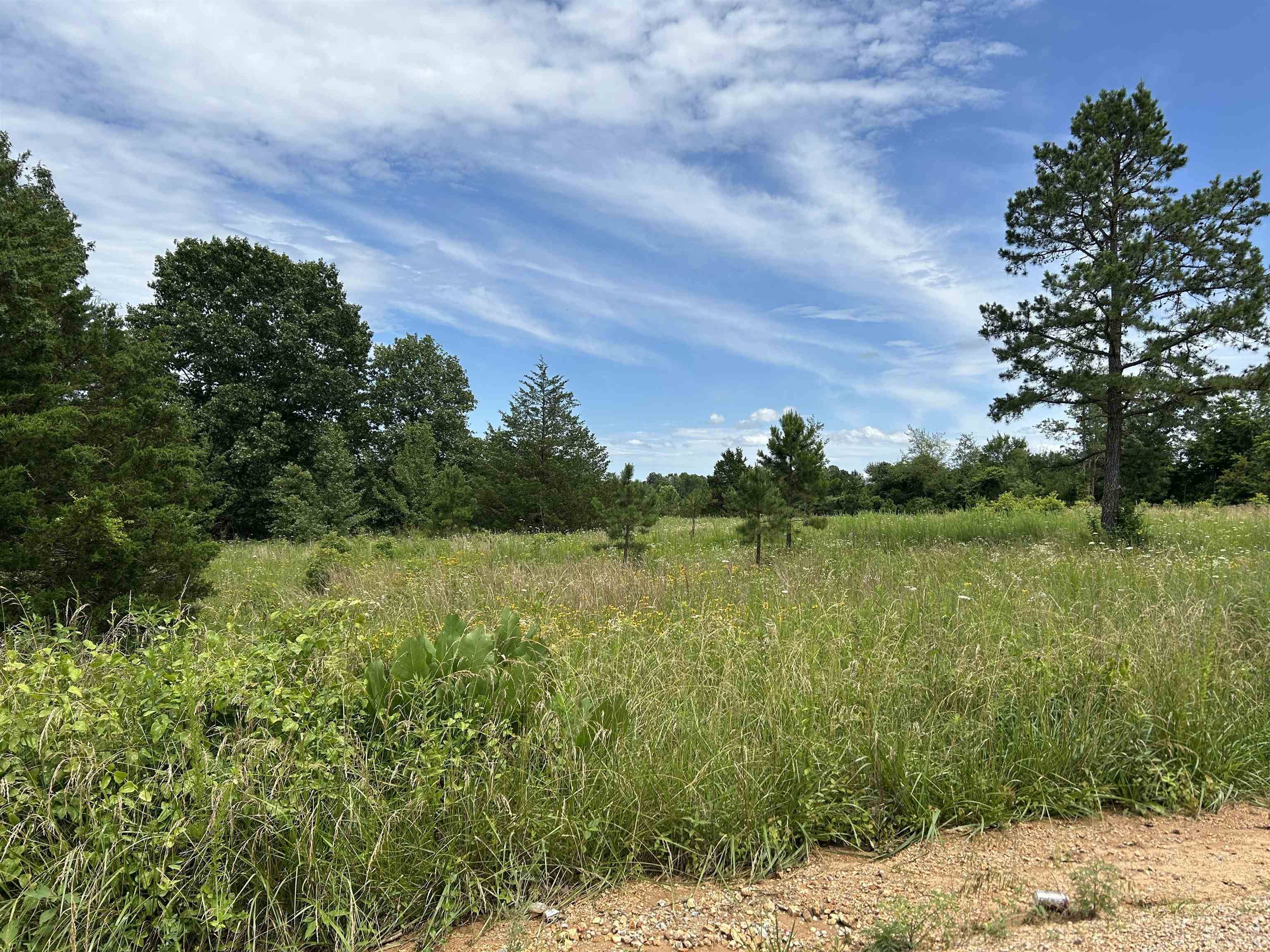 Alton, MO 65606,676 County Road 403