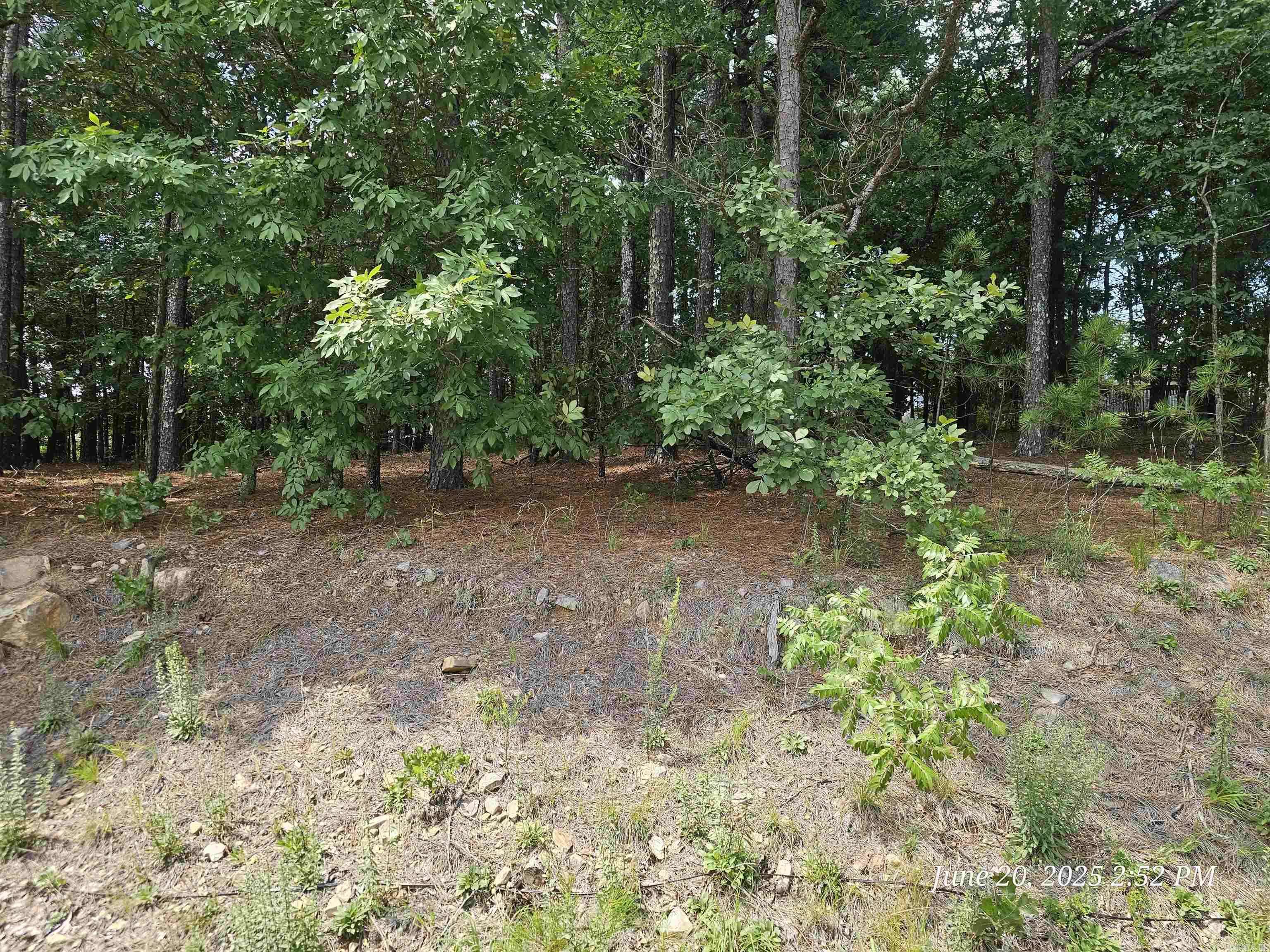 Hot Springs Village, AR 71909,16 Meteoro Way