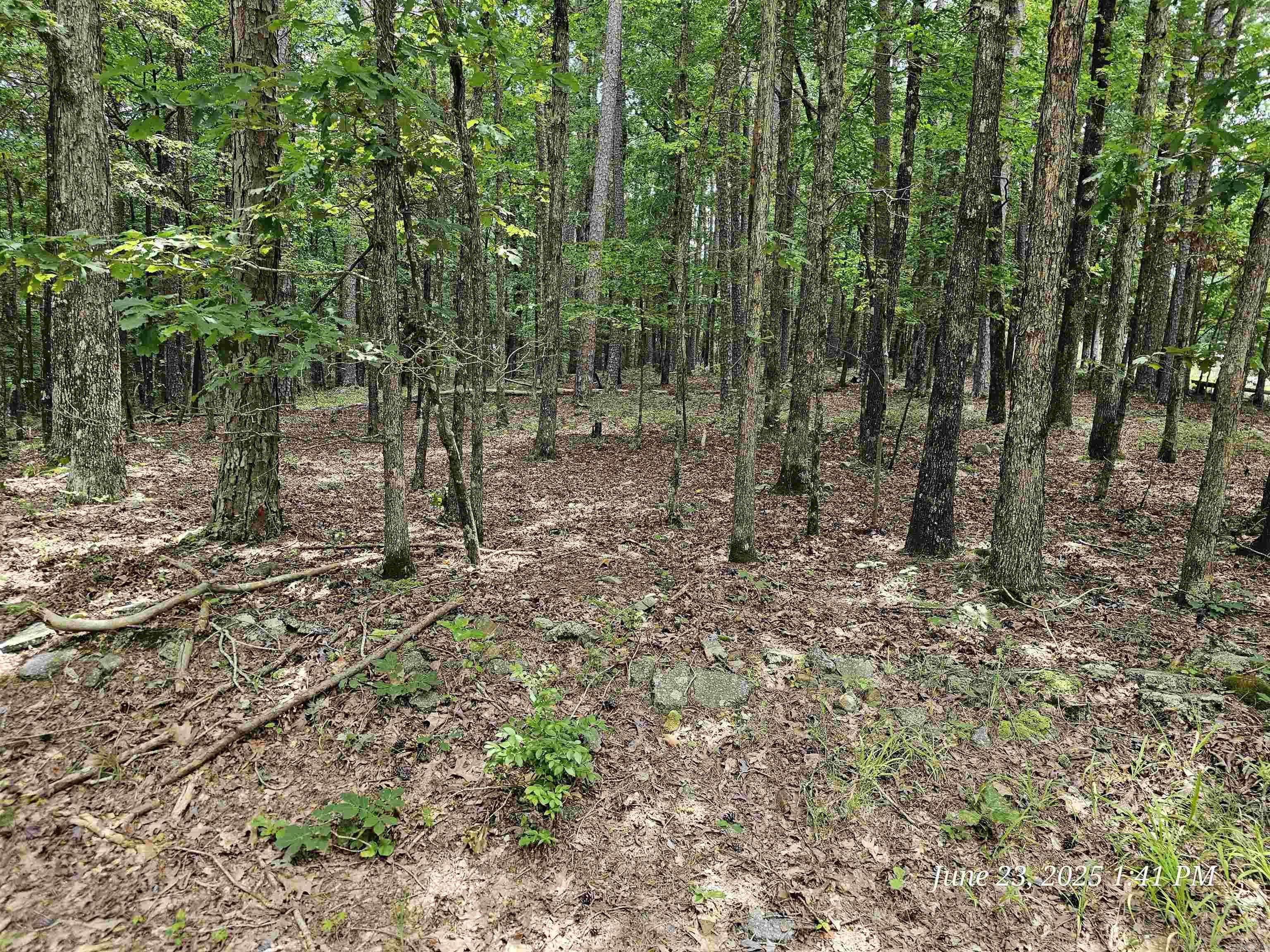 Hot Springs Village, AR 71909,46 Doscientos Way