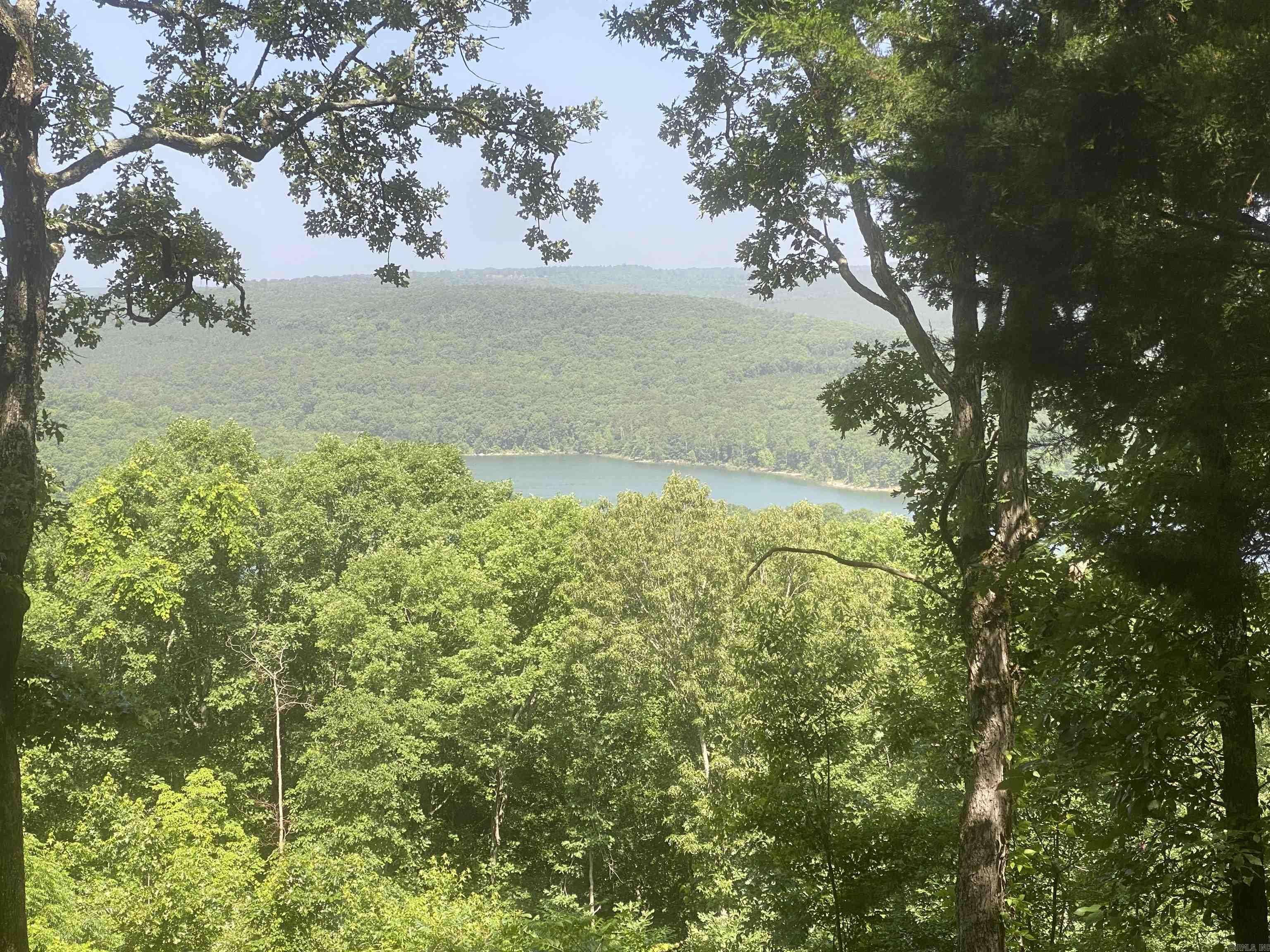 Edgemont, AR 72044,Lot 5 Bluff Drive