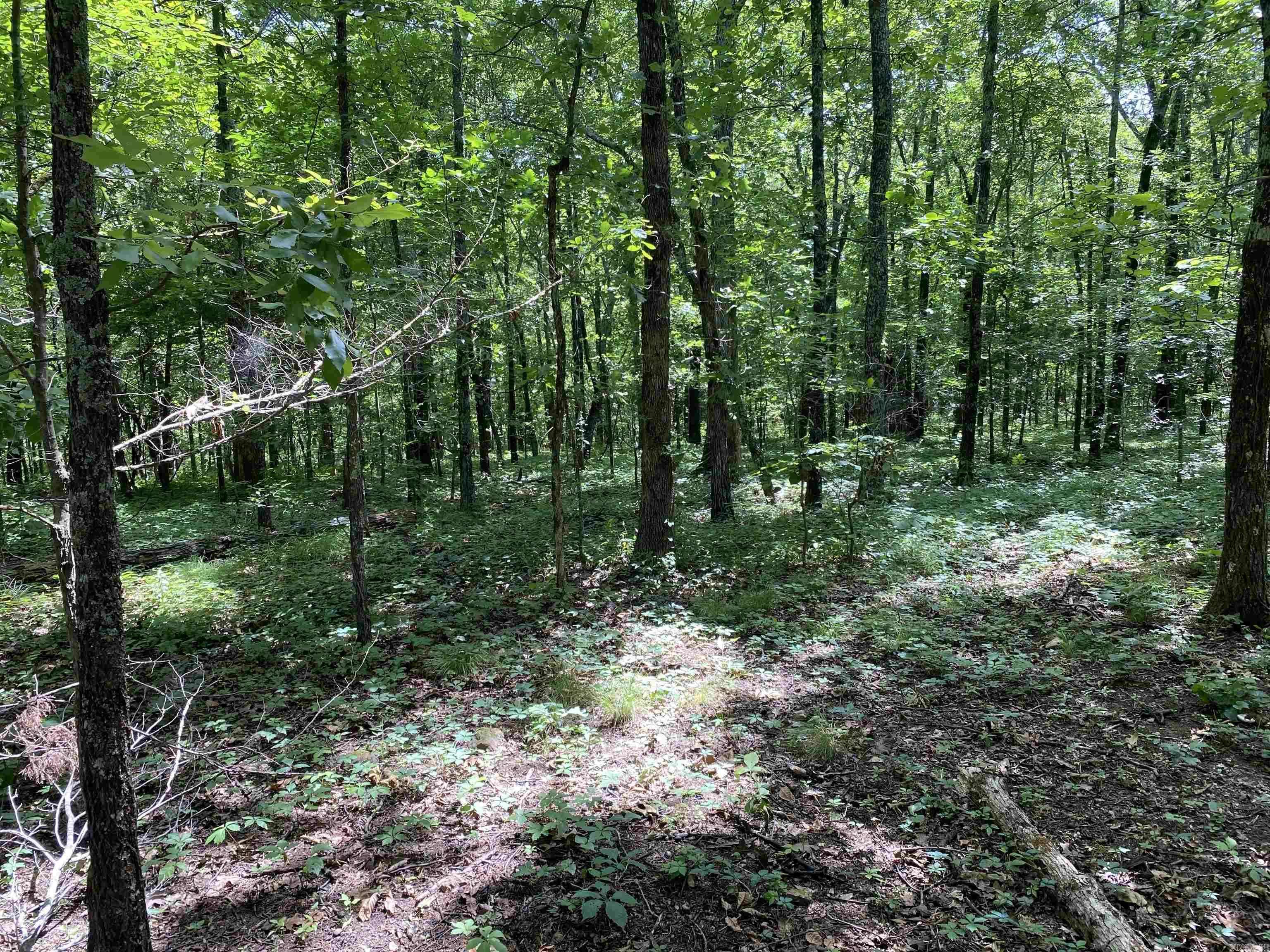 Edgemont, AR 72044,Lot 2 Bluff Drive
