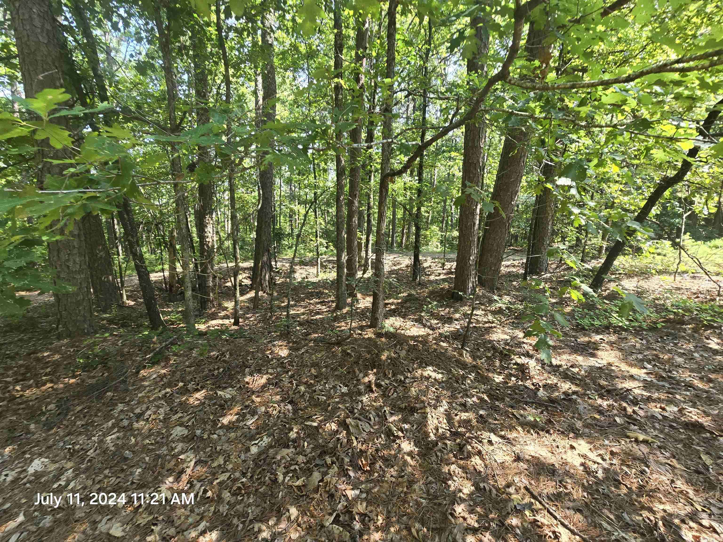 Fairfield Bay, AR 72088,0 Sunnyvale Court