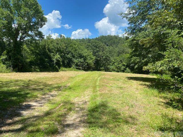 Mena, AR 71953,787 Polk Road 67