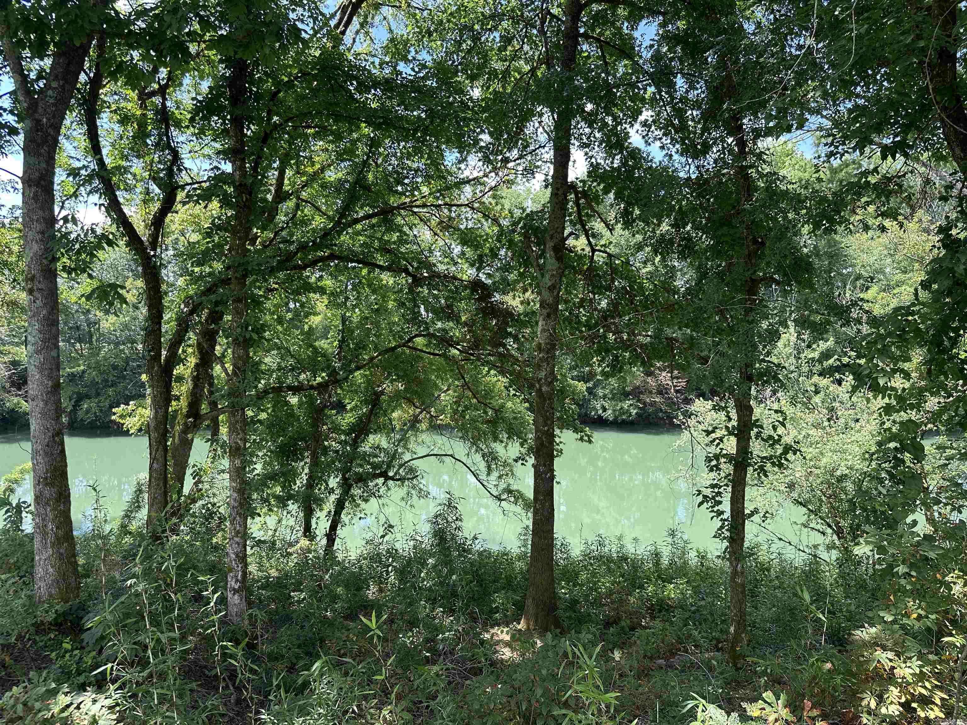 Pangburn, AR 72121-0000,Address not disclosed