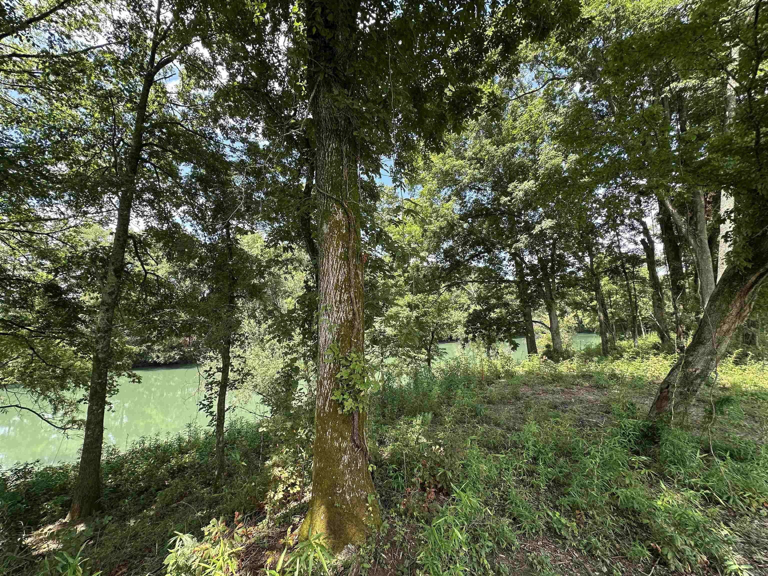 Pangburn, AR 72121-0000,Address not disclosed