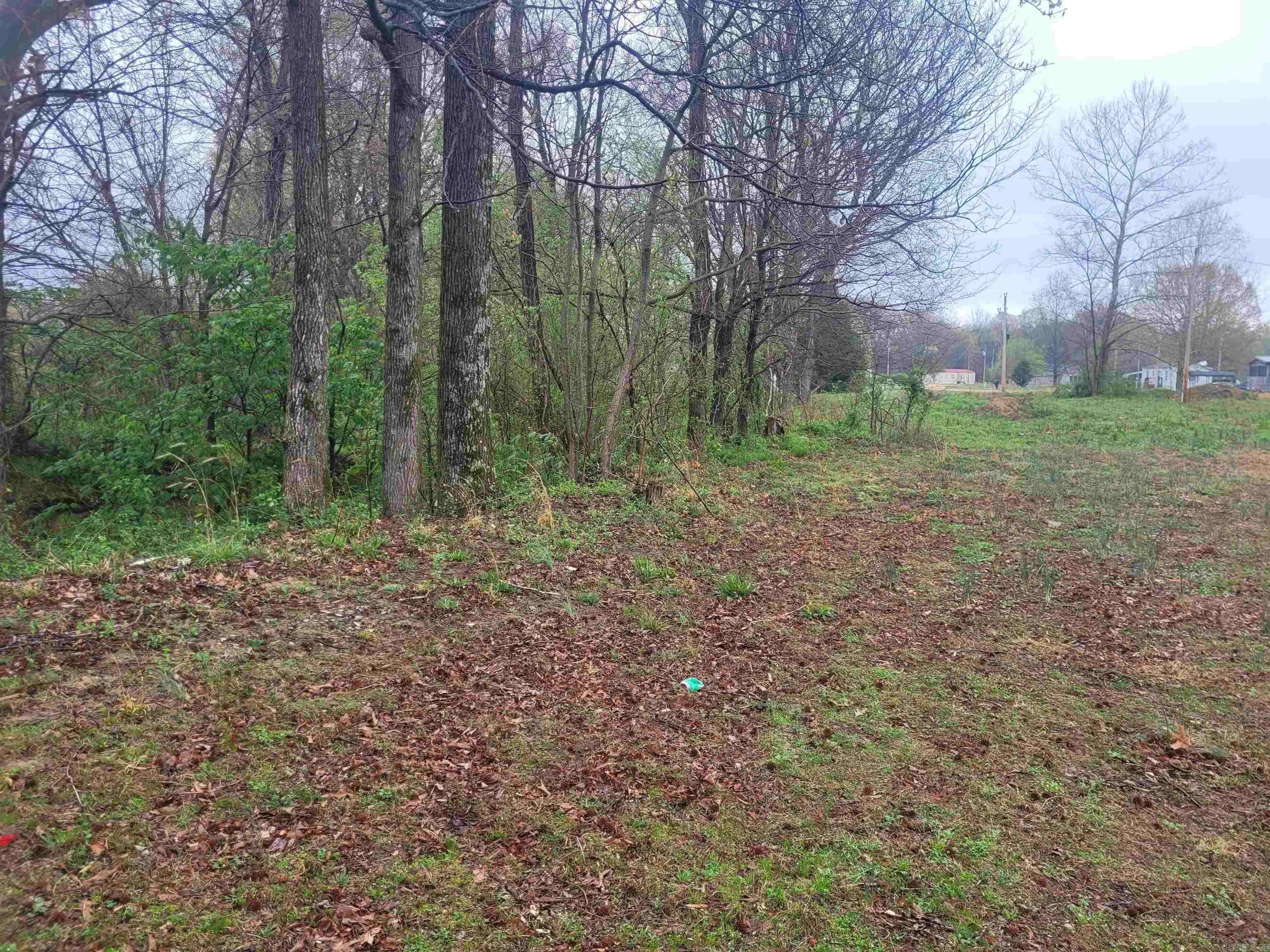 Brookland, AR 72417,Lot 4 County Road 7922