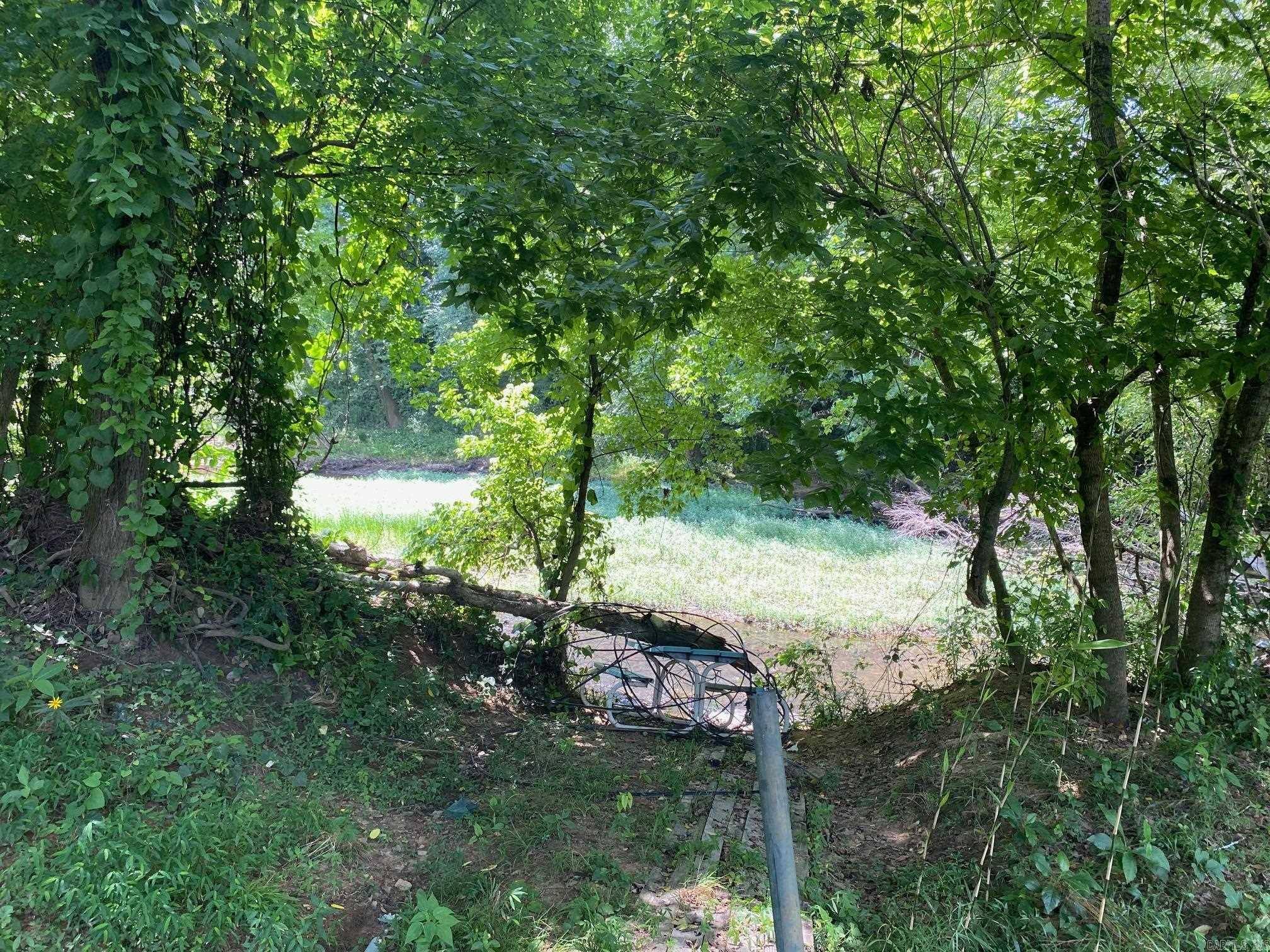 Pangburn, AR 72121-9659,125 Britton Lane
