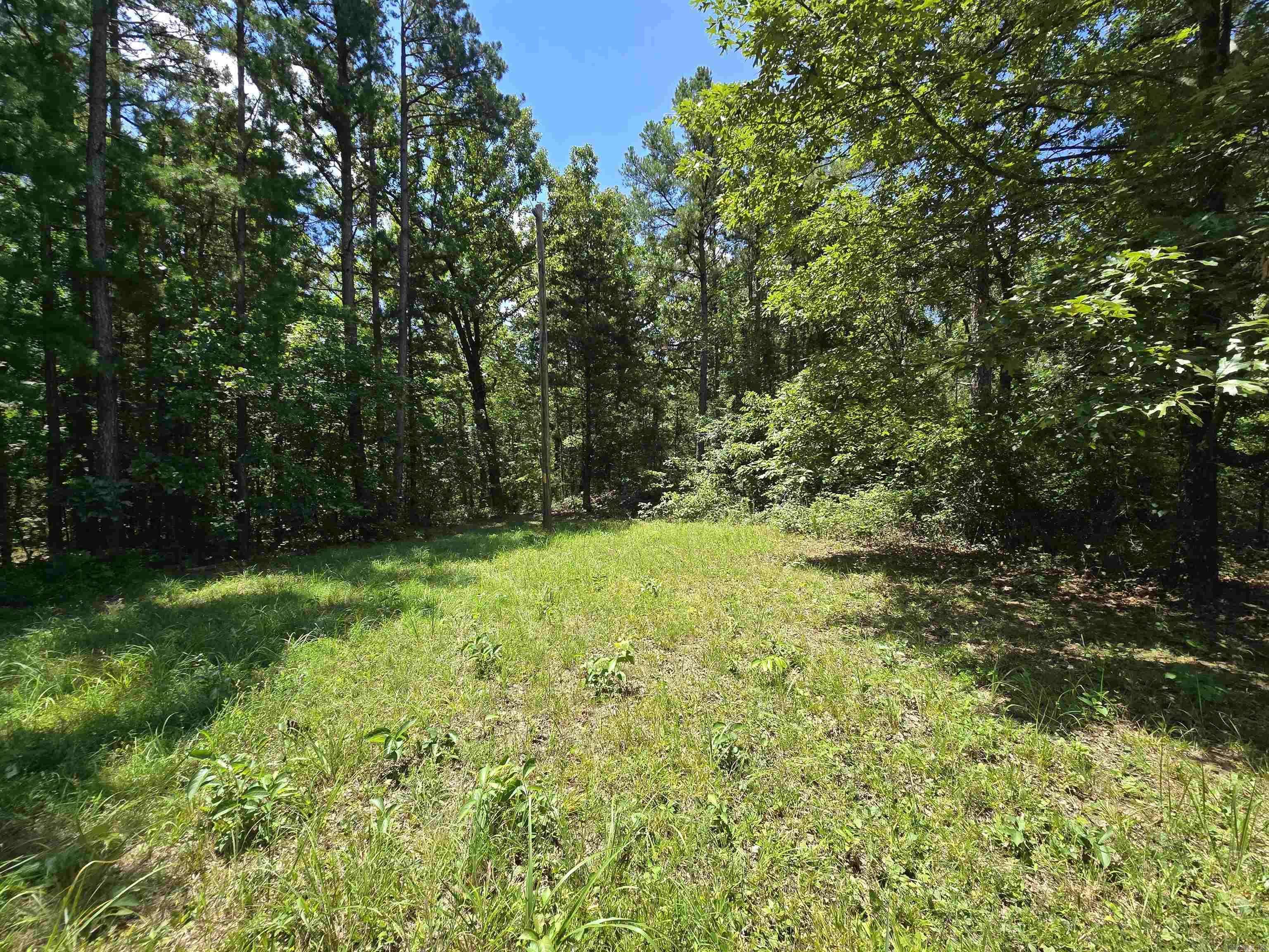Shirley, AR 72153,000 The New Road