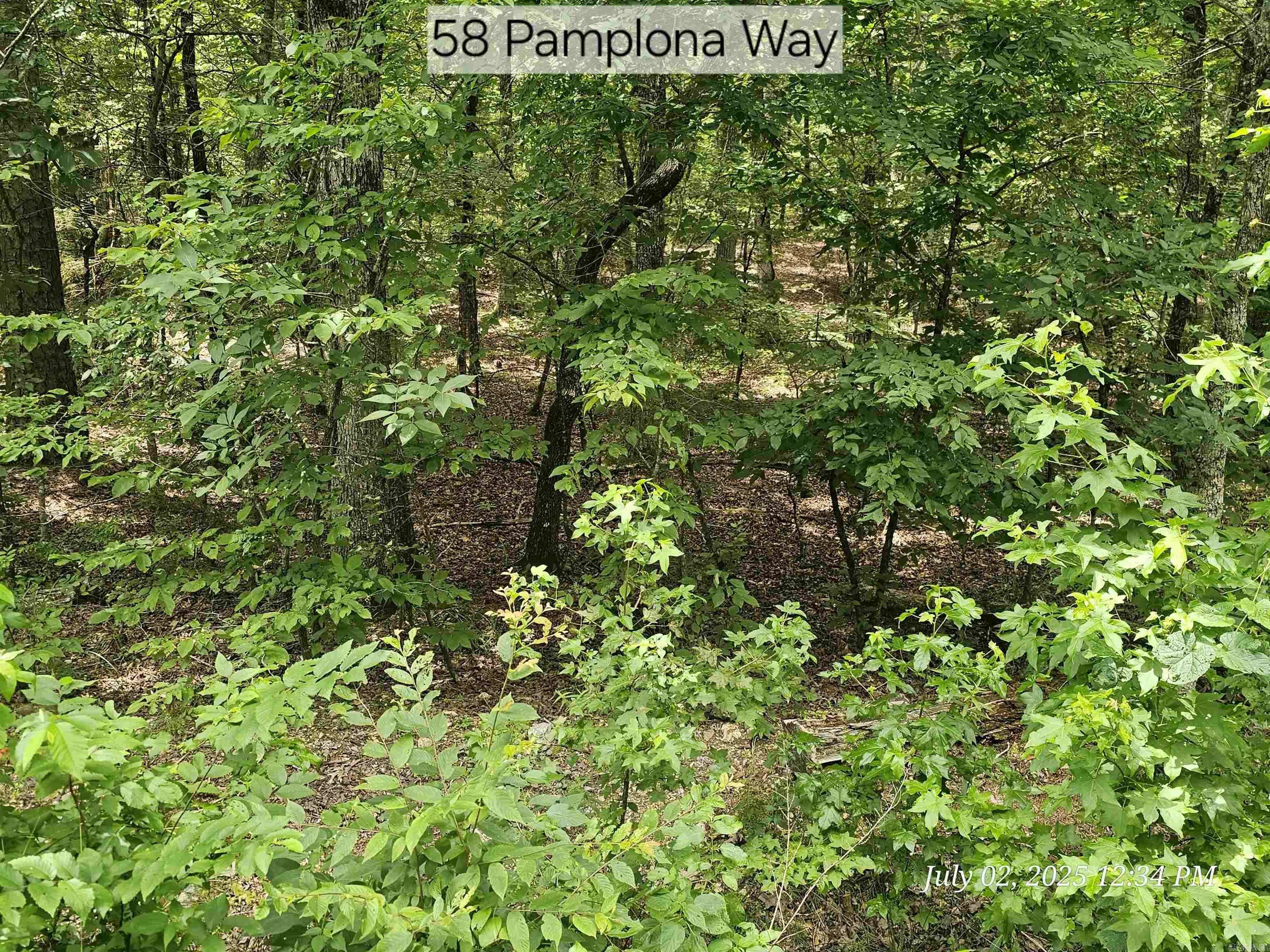 Hot Springs Village, AR 71909,58 Pamplona Way