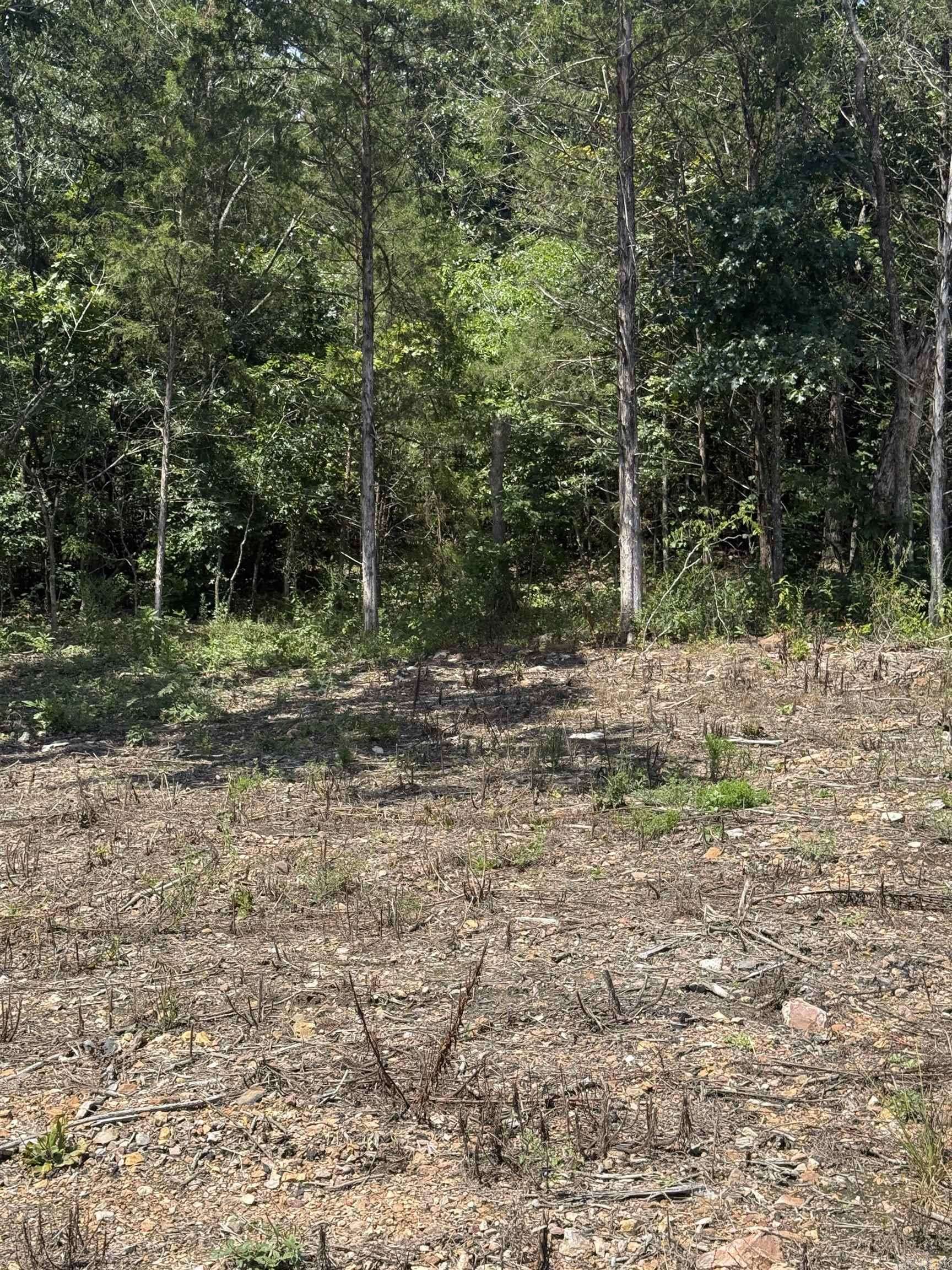 Norfork, AR 72658,12952 Hwy 5 Highway