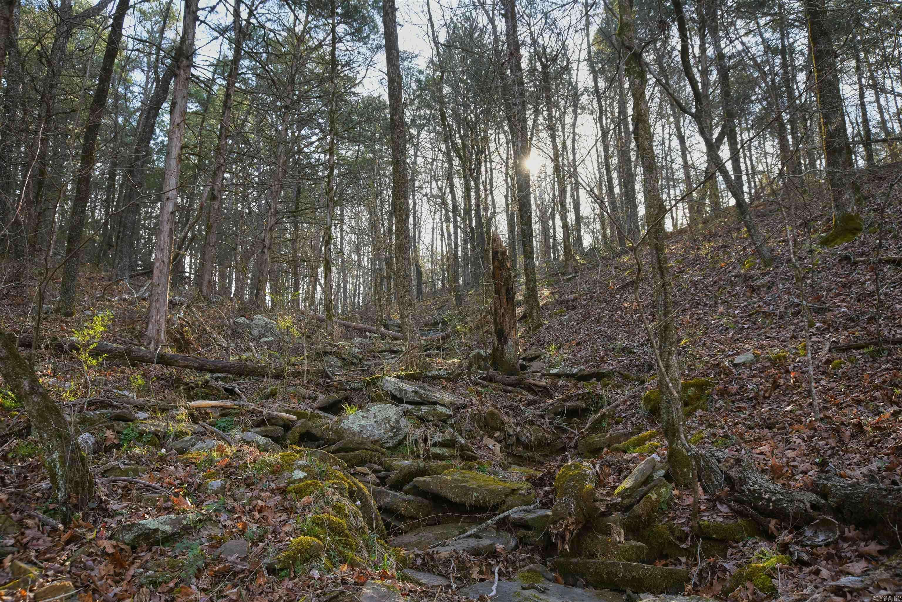 Shirley, AR 72153,7.5 acres Mountain Meadows Road