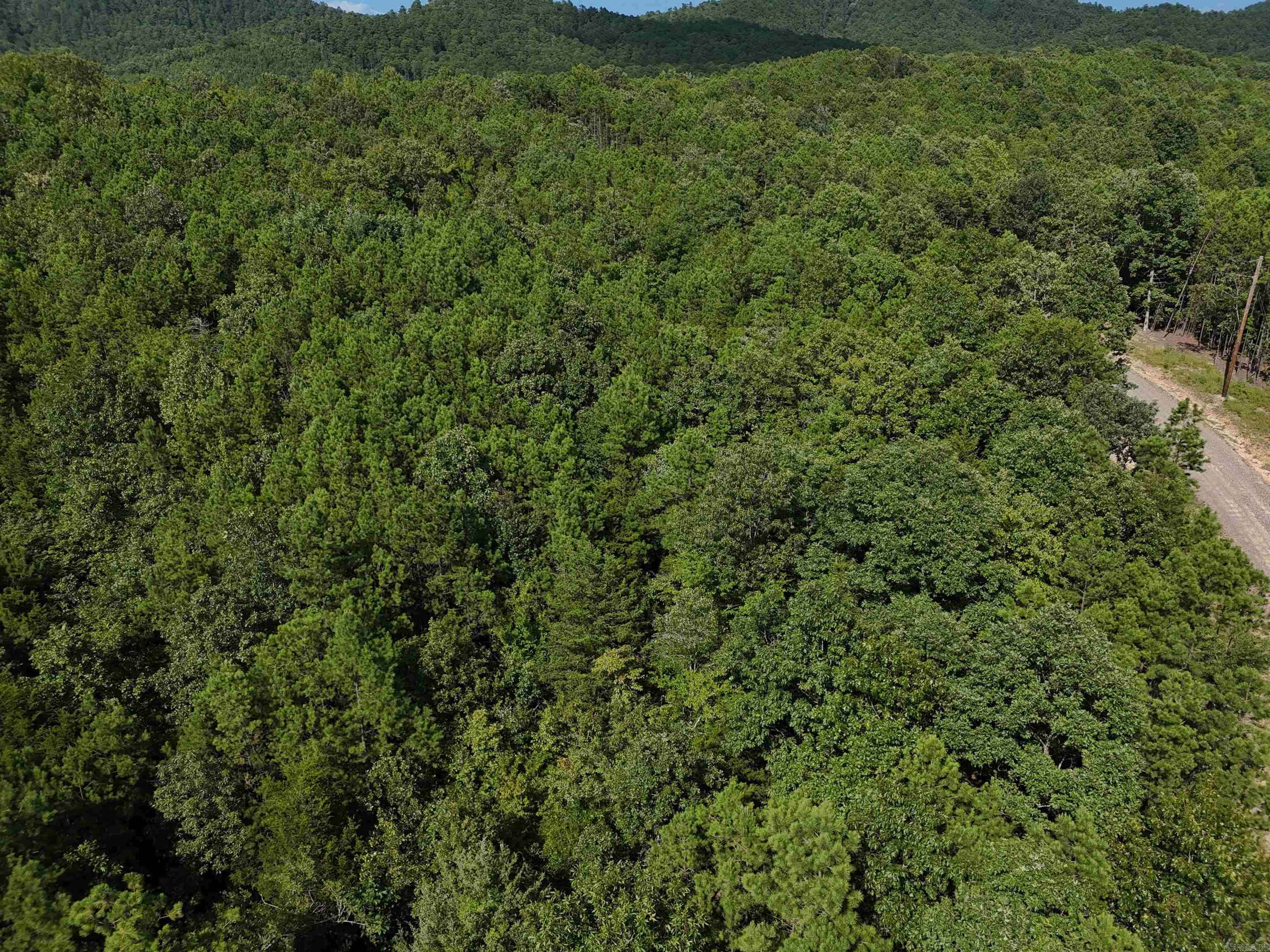 Mena, AR 71953,Lot 2 Polk Road 78