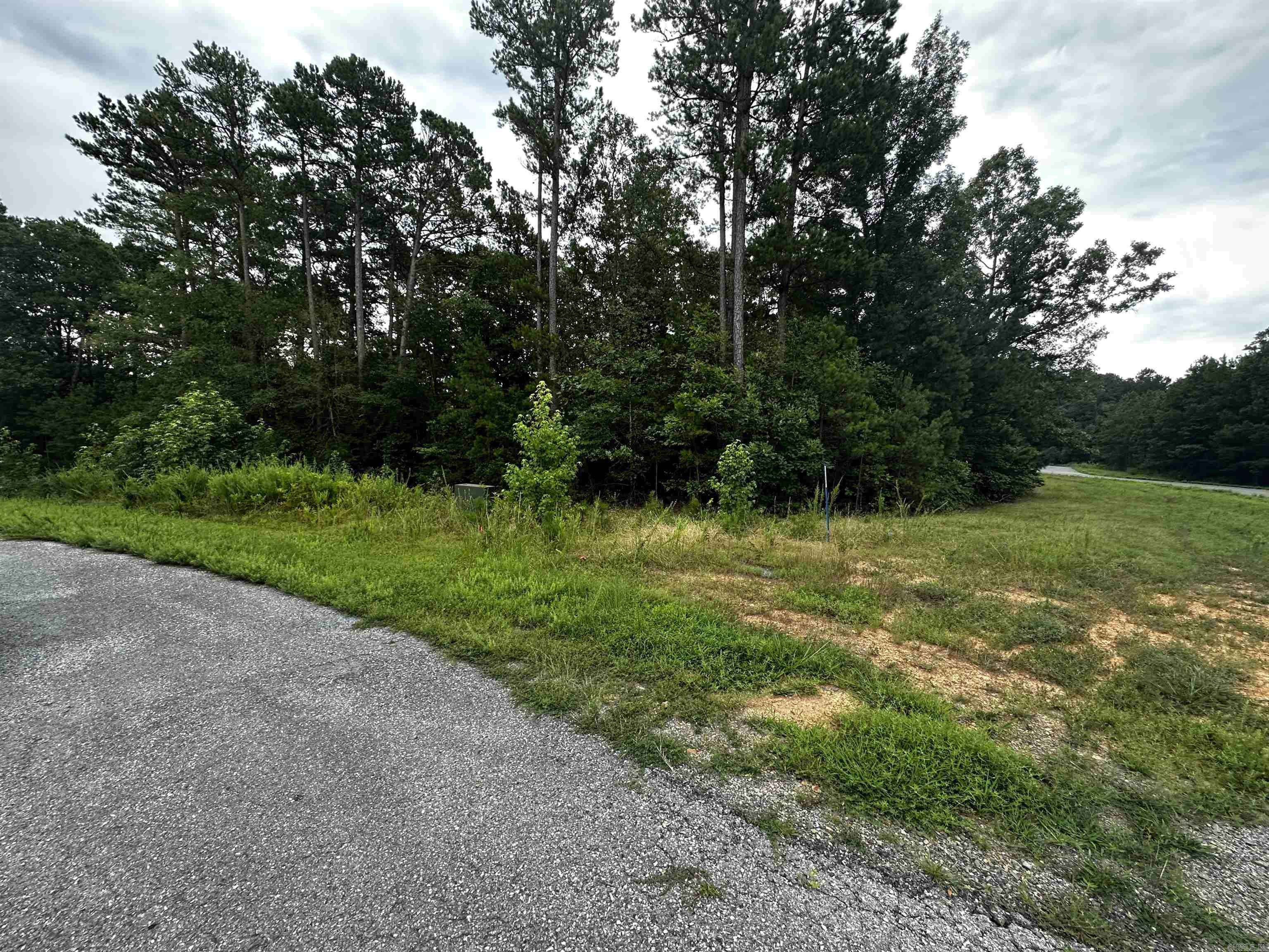 Shirley, AR 72153,Lot 62 Green Creek Trl