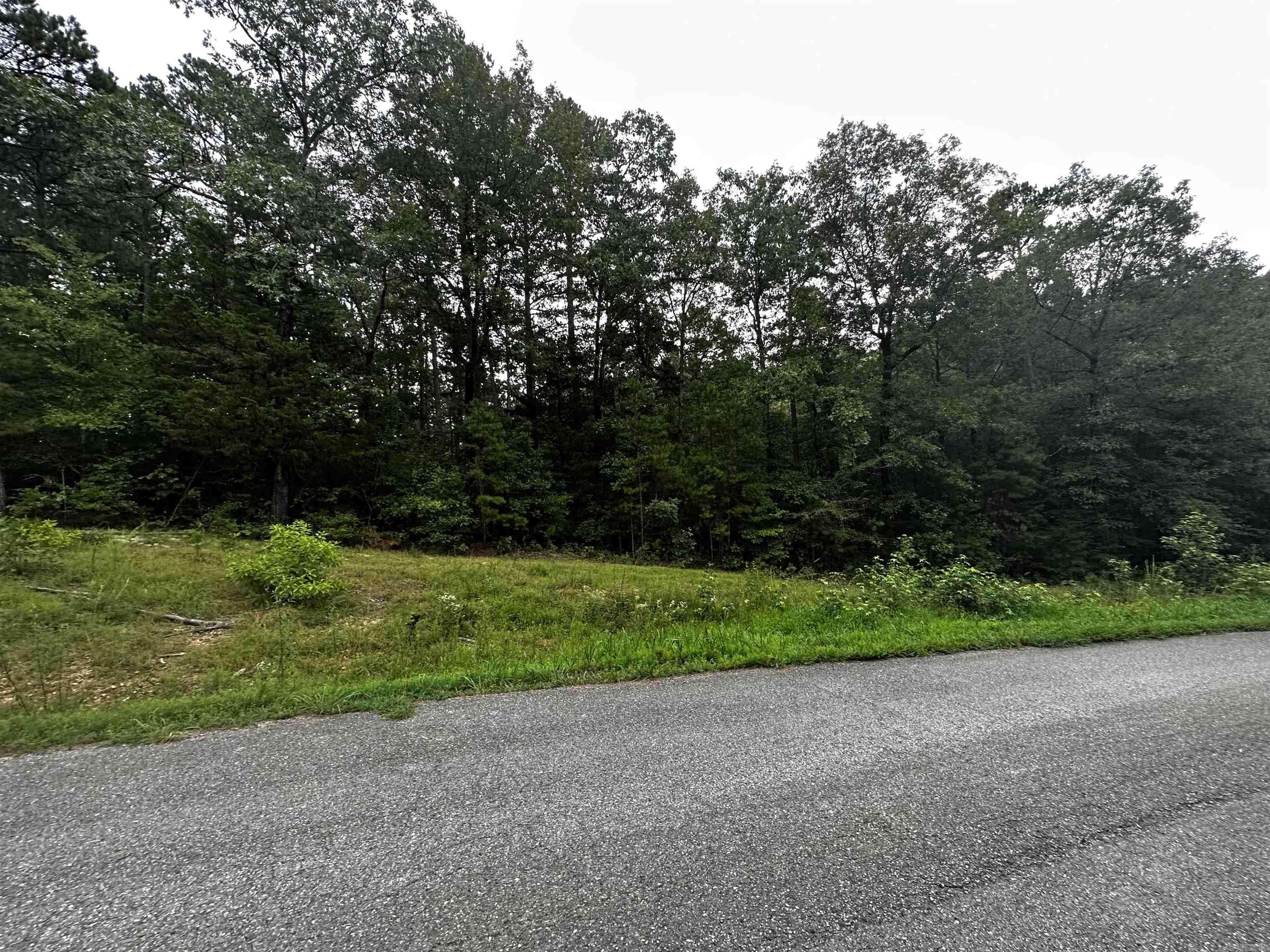 Shirley, AR 72153,Lot 47 Cobalt Bay Drive