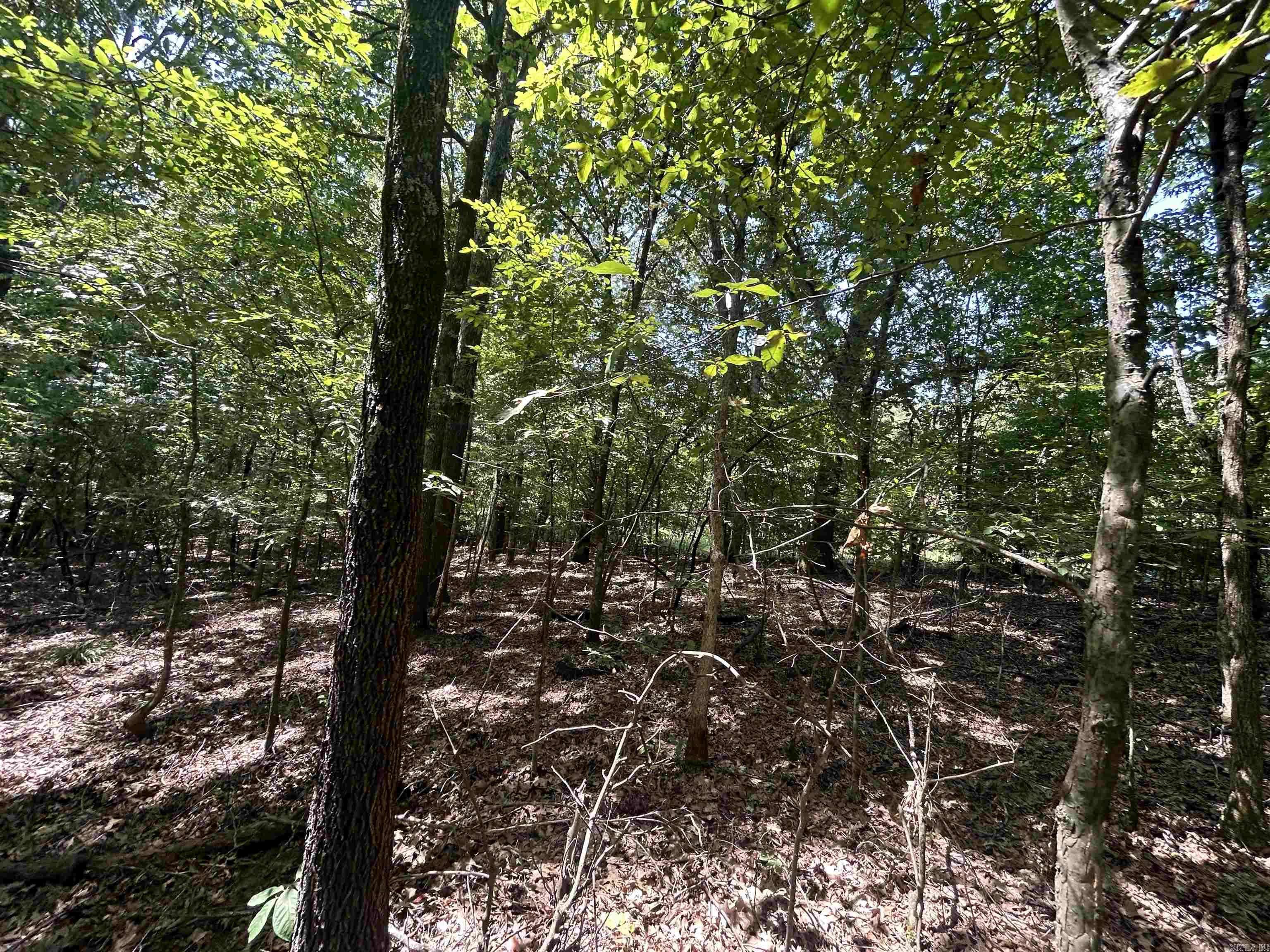 Pleasant Hope, AR 72396,Cr 325