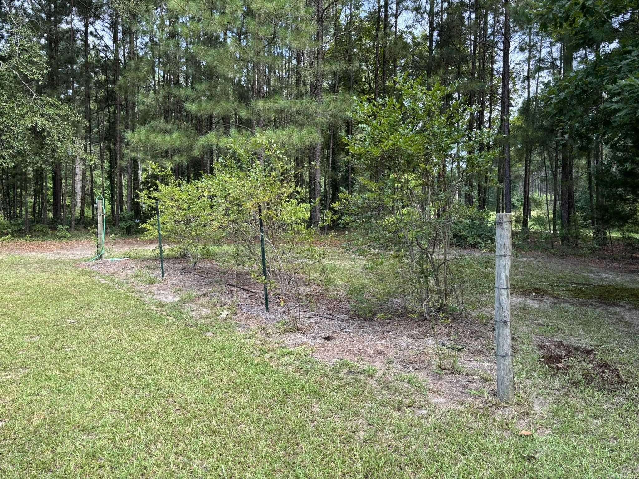 Chidester, AR 71726,795 Ouachita 12