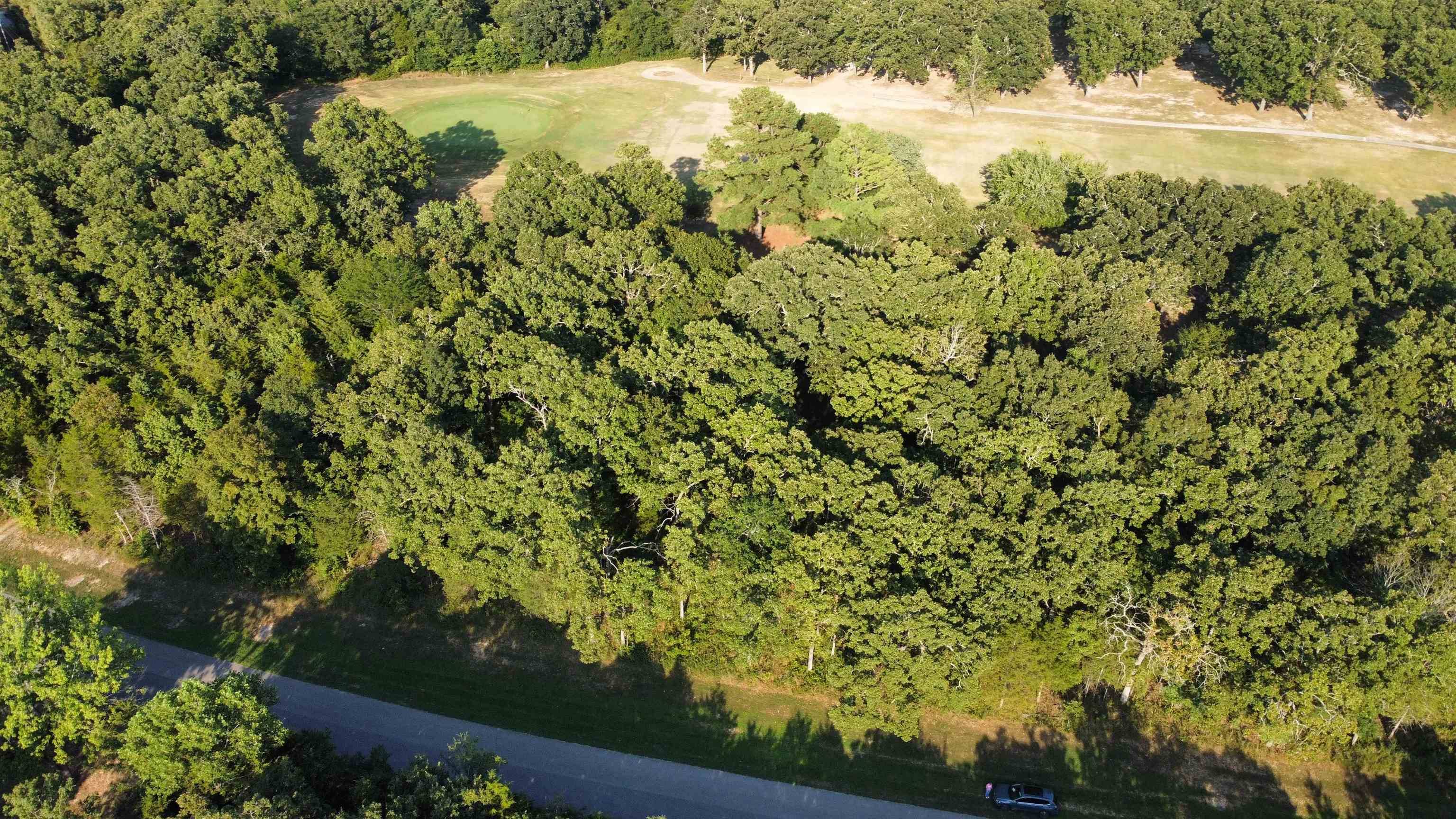 Horseshoe Bend, AR 72512,325 W Green Valley Drive