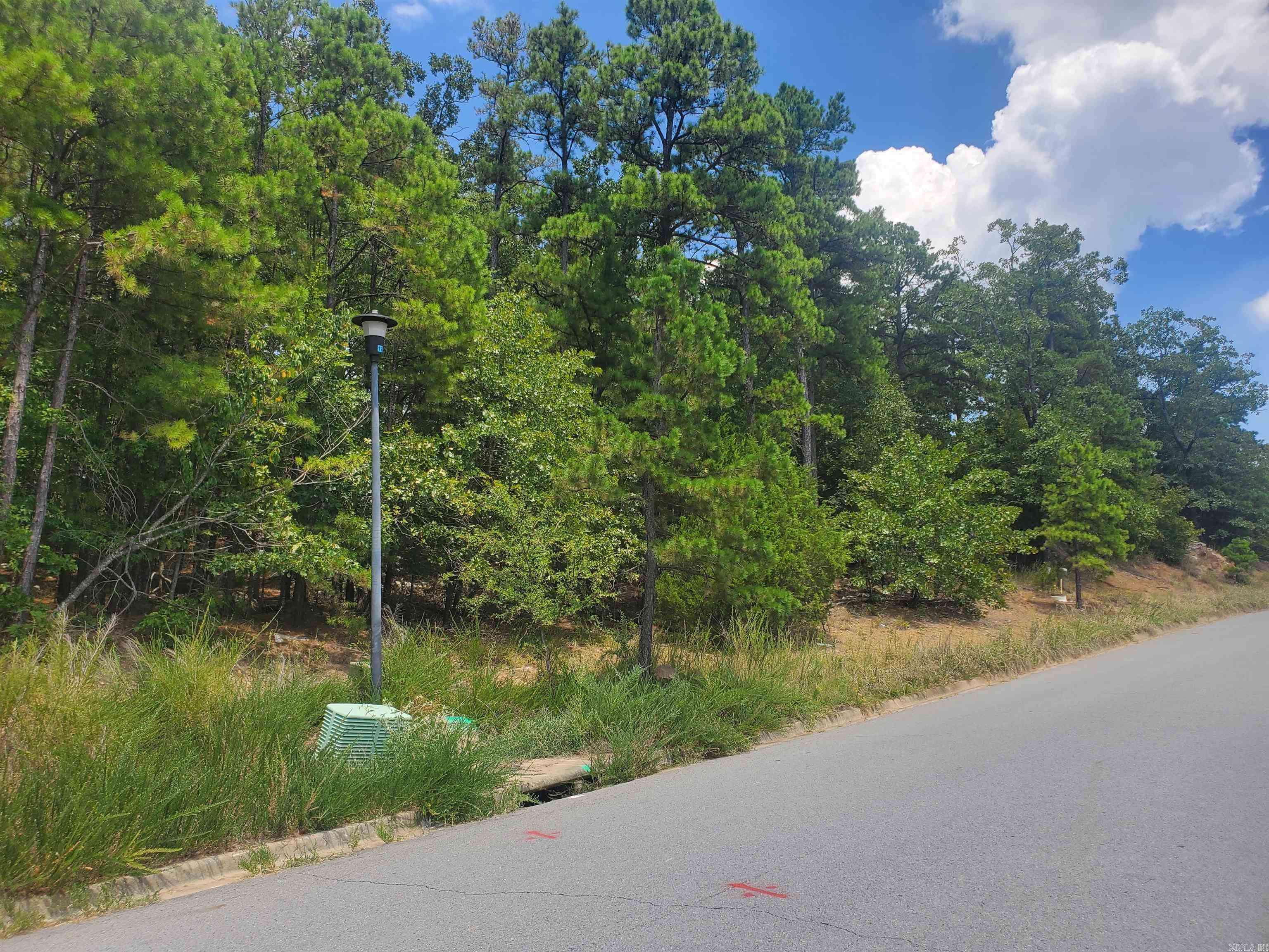 Maumelle, AR 72113,Maumelle Valley Estates Circle