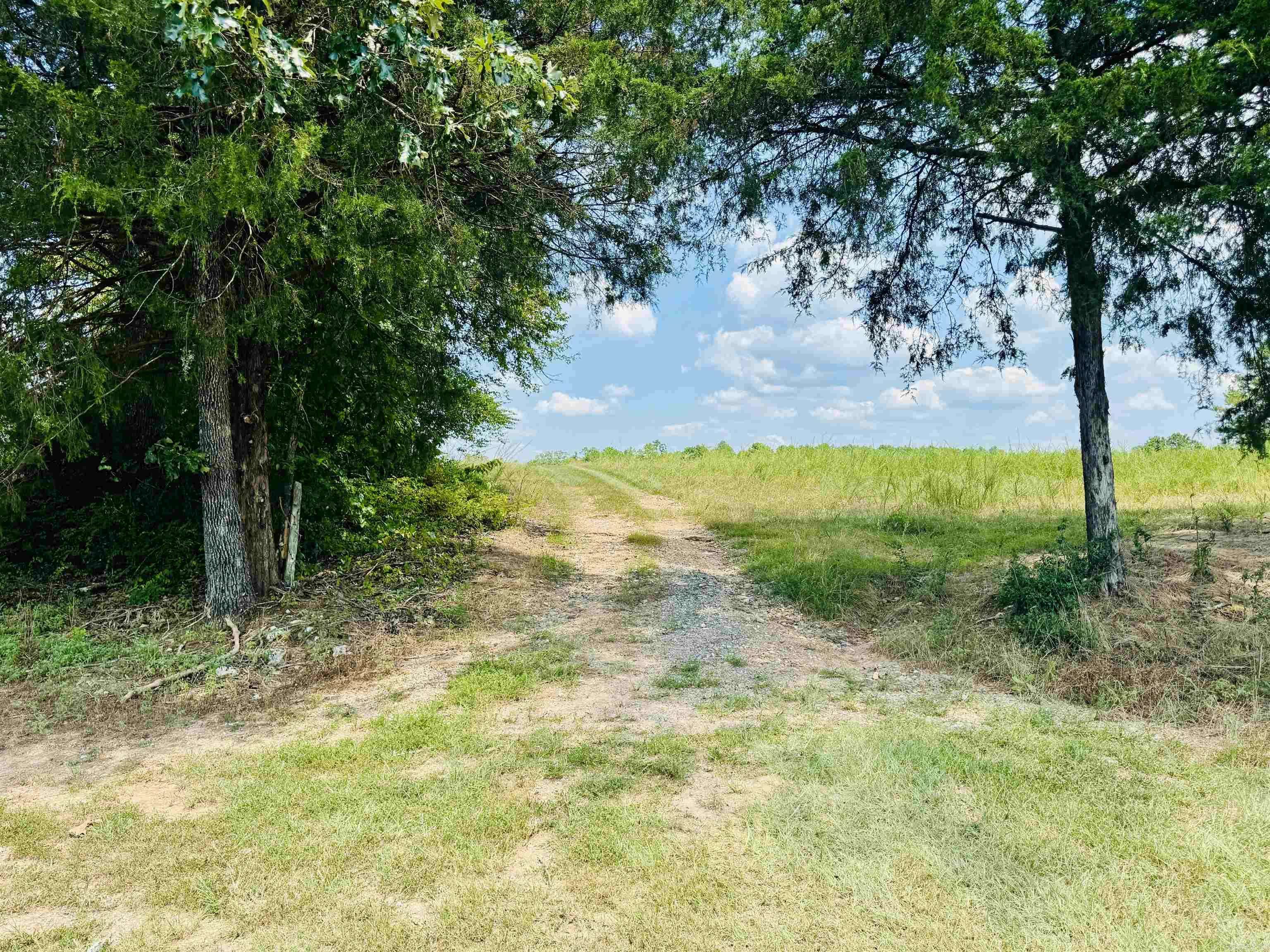 Mount Ida, AR 71957,Address not disclosed