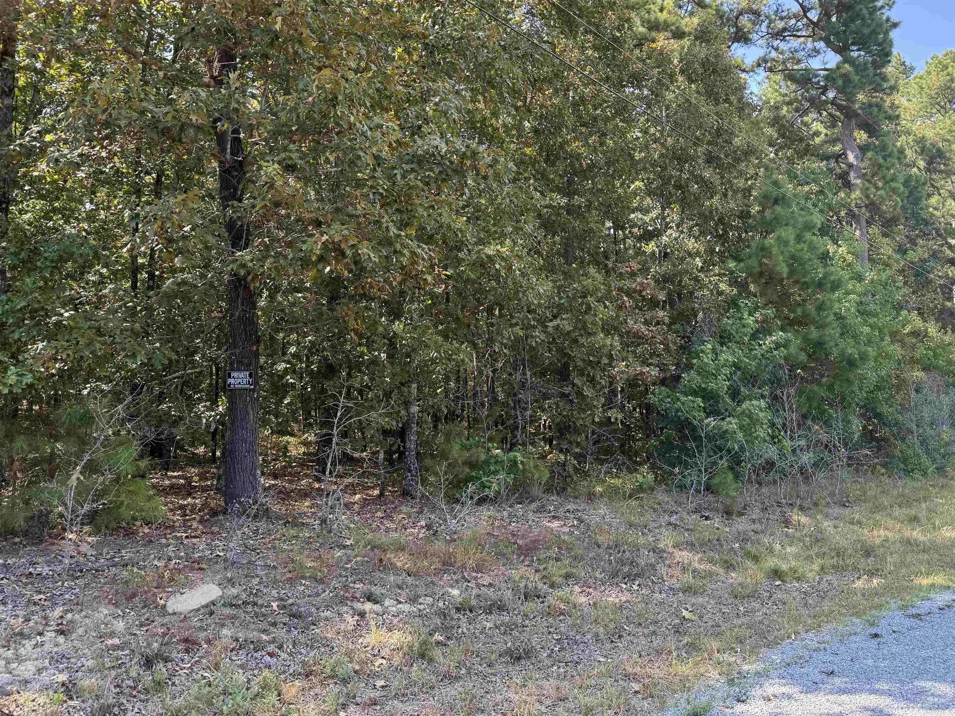 Roland, AR 72135,25222 Blue Gill Dr