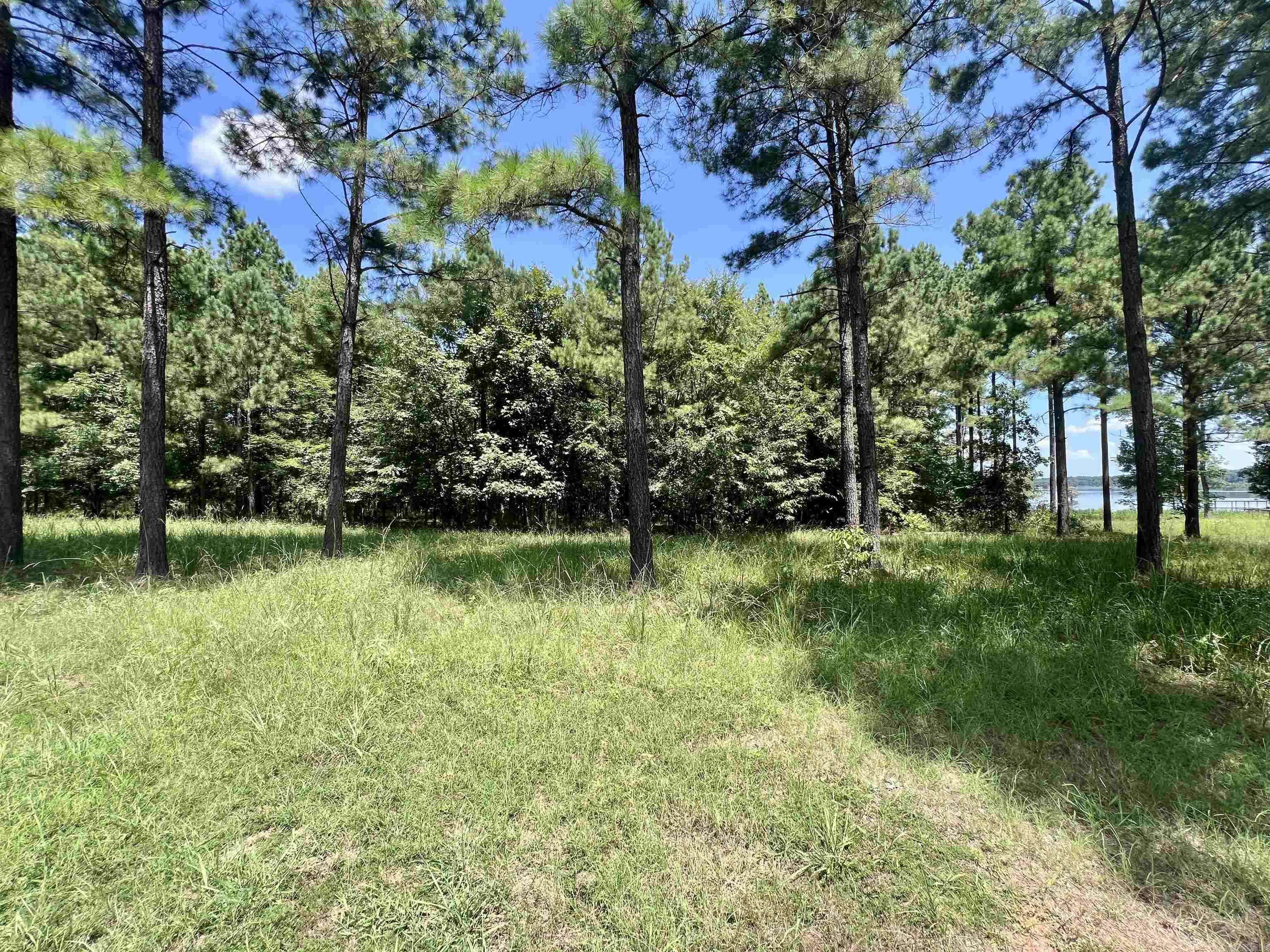Lewisville, AR 71845,LOT 4 EAGLE BROOK Drive