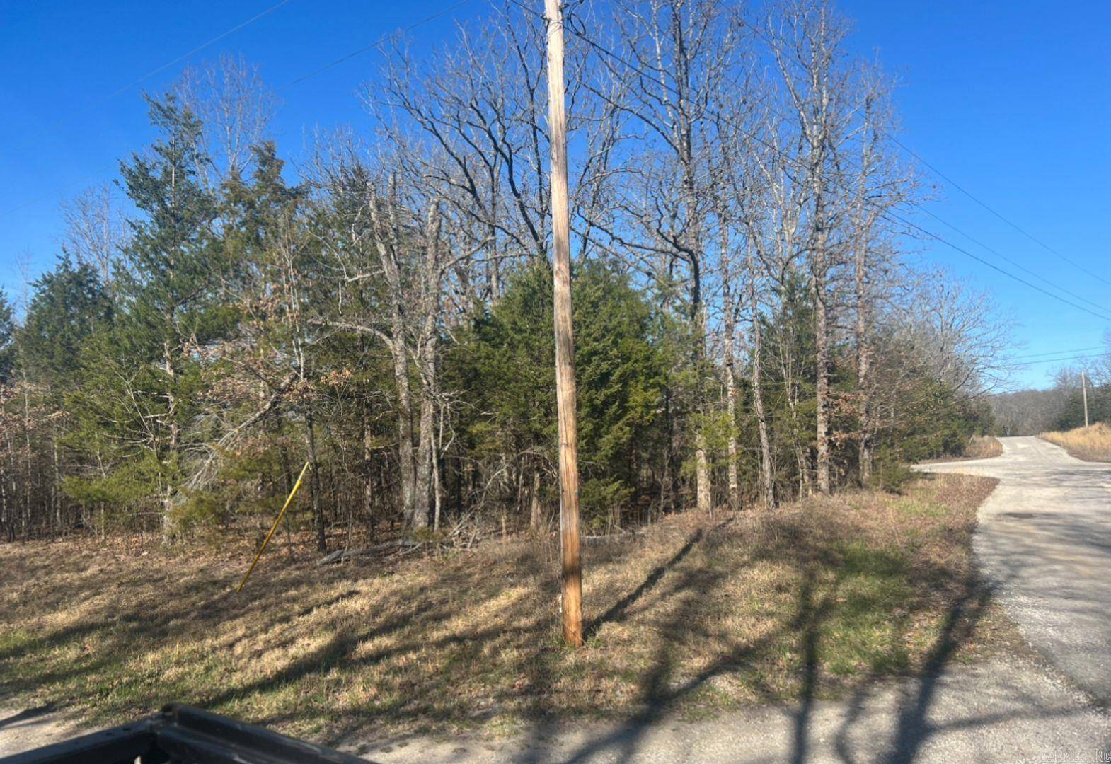 Horseshoe Bend, AR 72512,Address not disclosed