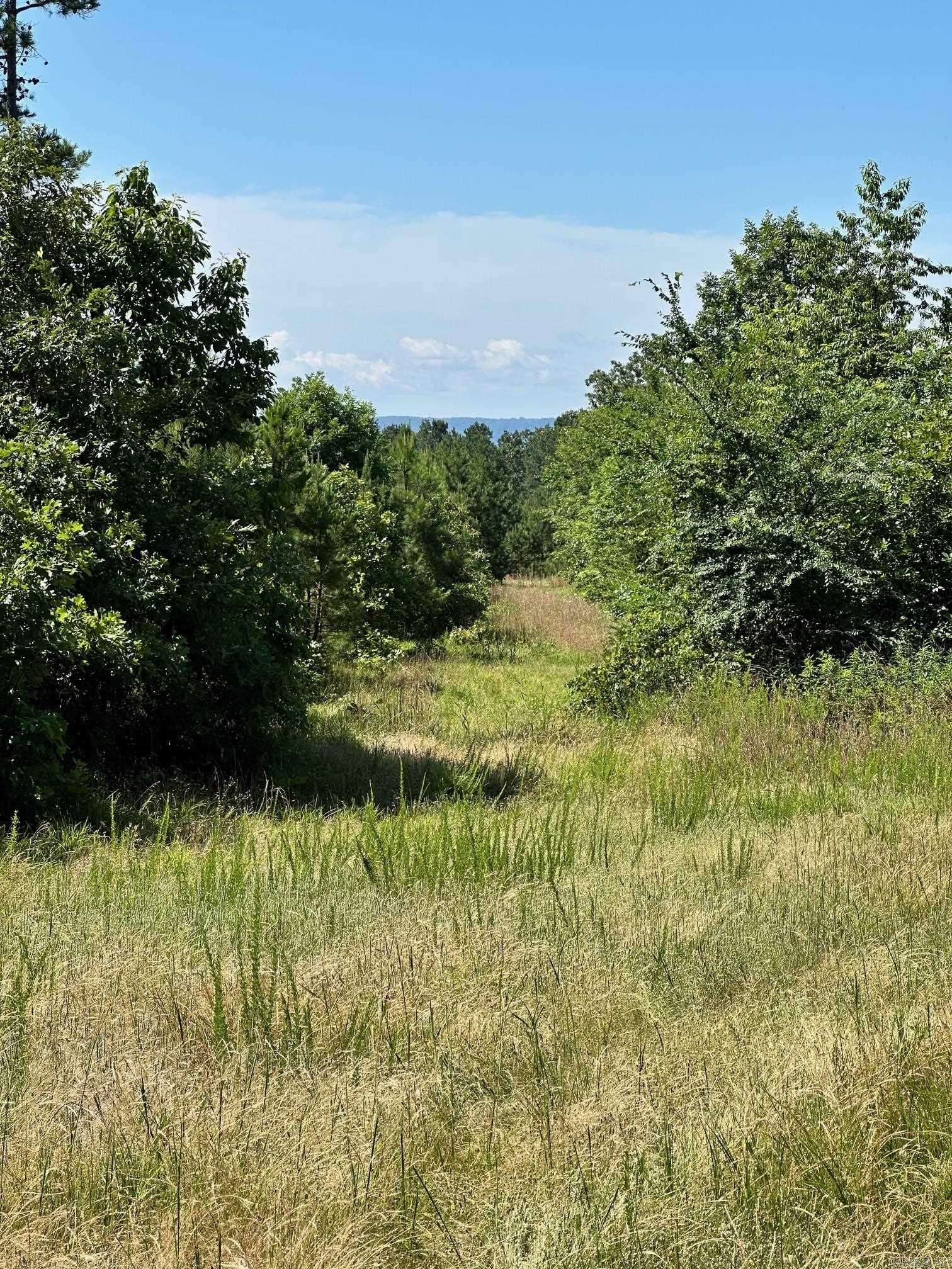 Russellville, AR 72802,00 Caglesville Lane