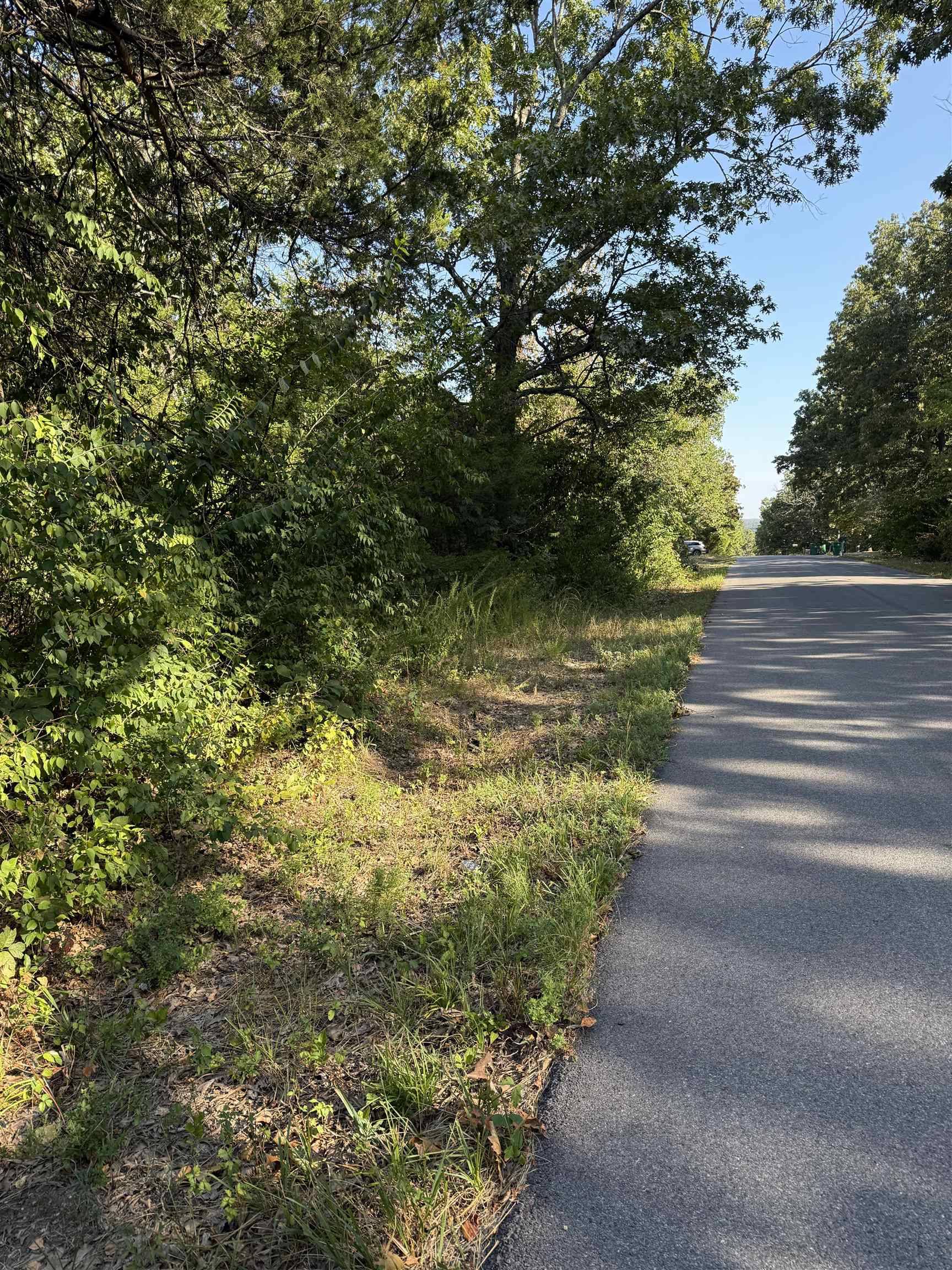 Horseshoe Bend, AR 72512,1213 Ridge Circle