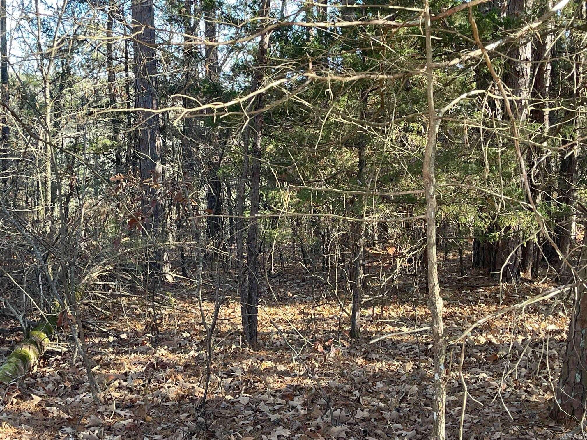 Fairfield Bay, AR 72088,Lot 38R Block 3 Mountain Ranch Drive