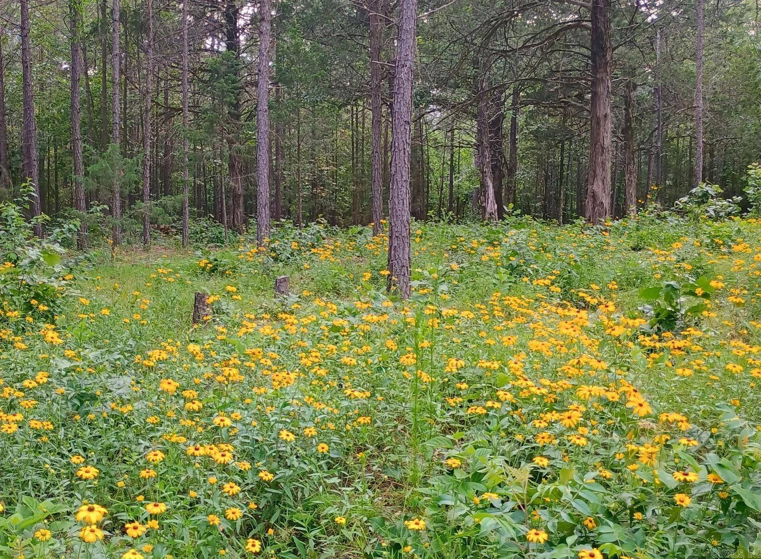 Clinton, AR 72031,313 Bobbits Lane