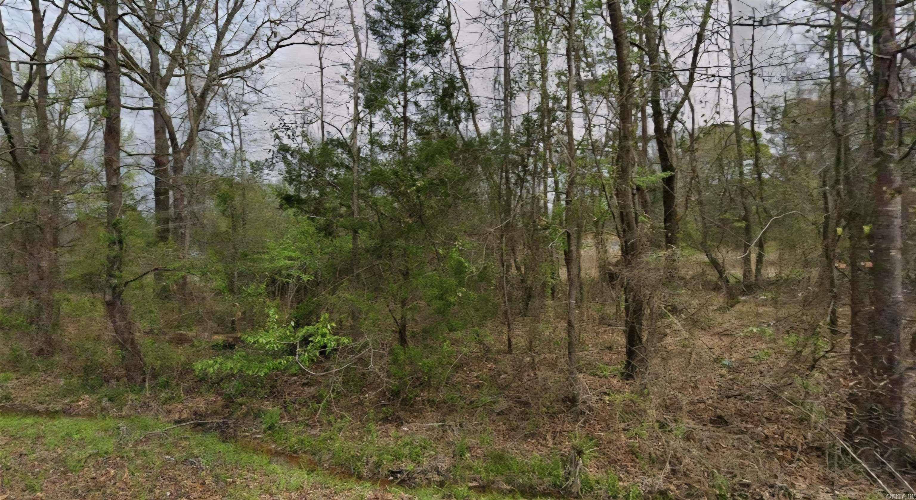 Camden, AR 71701,520 Oklahoma Street