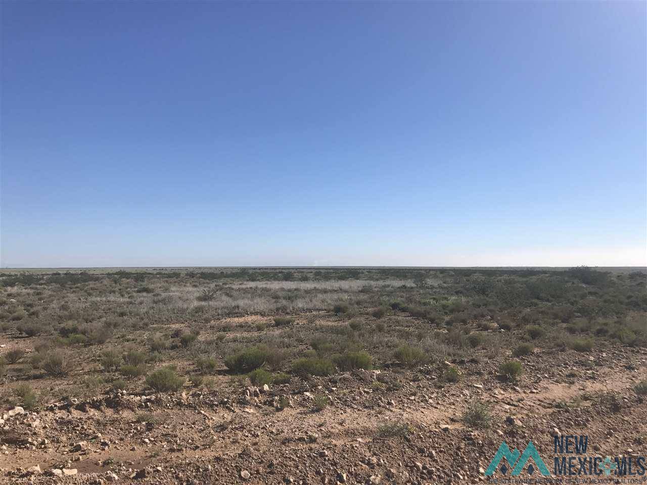 Hagerman, NM 88323,362 Des Moines Rd Street #Tract 29-B