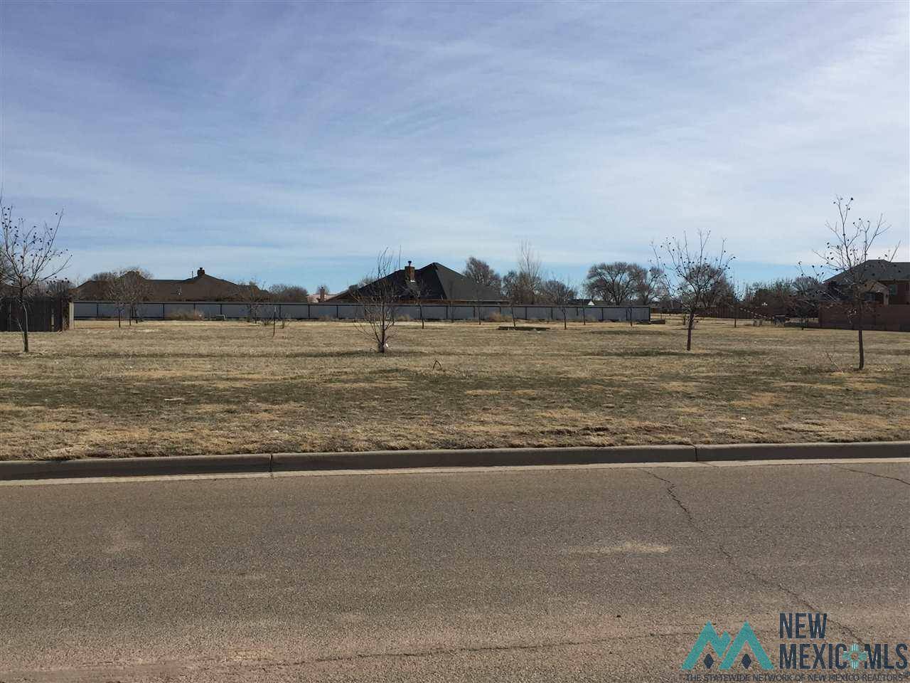 Clovis, NM 88101,105 Colonial Estates Parkway