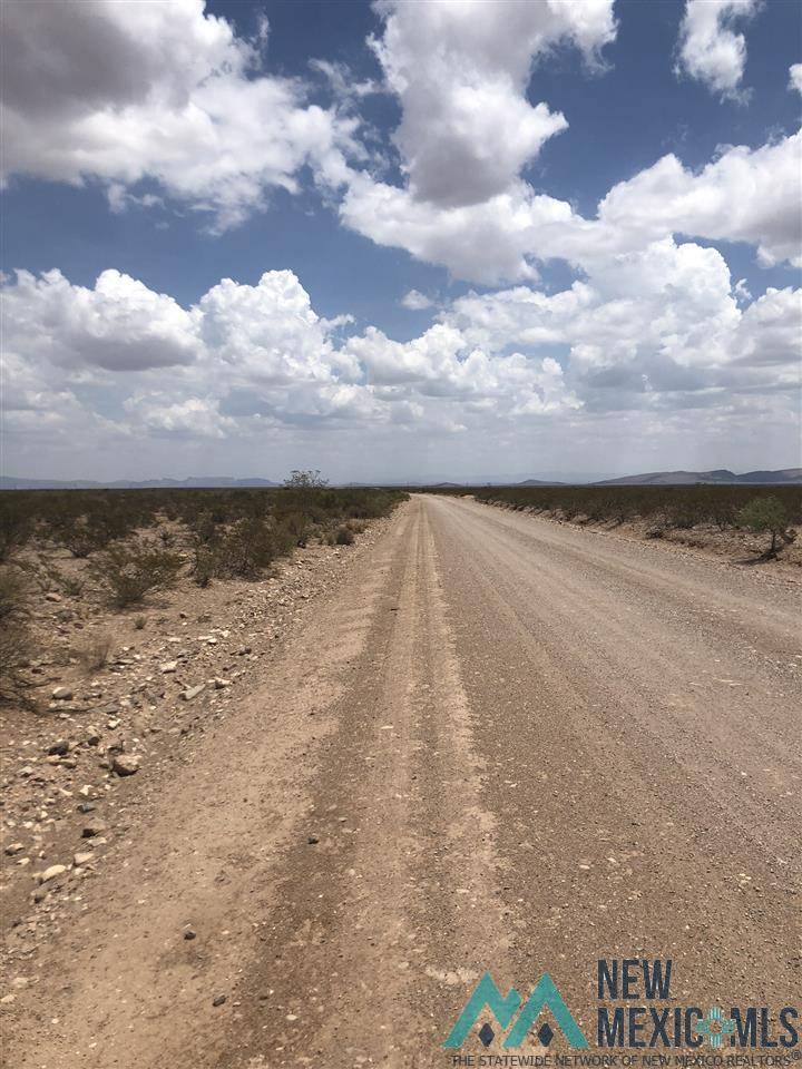 Williamsburg, NM 87942,Lot 13 UPPER PALOMAS SUBDIVISION