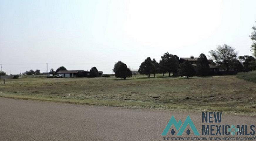 Clayton, NM 88415,1 Kiker Drive Drive