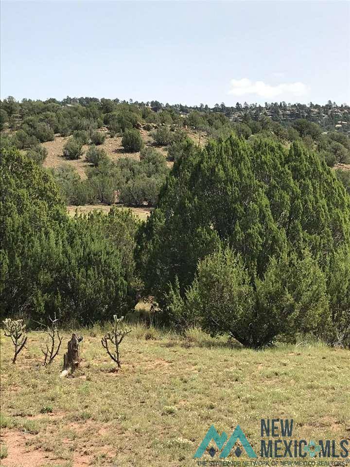 Los Montoyas, NM 87701,CR B27 Tracts C3 & C4 Roads