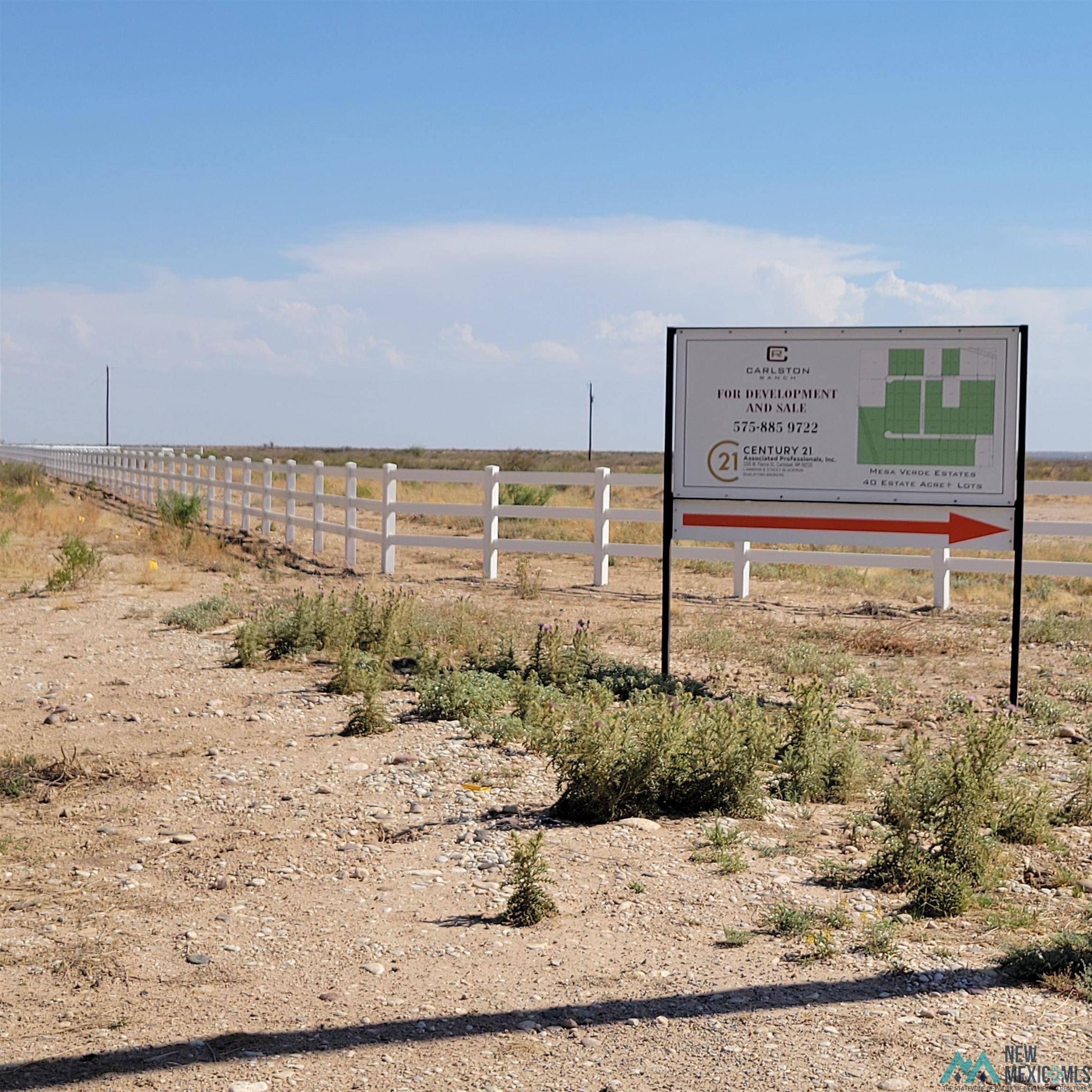 Carlsbad, NM 88220,Lot 19A Roadrunner Road