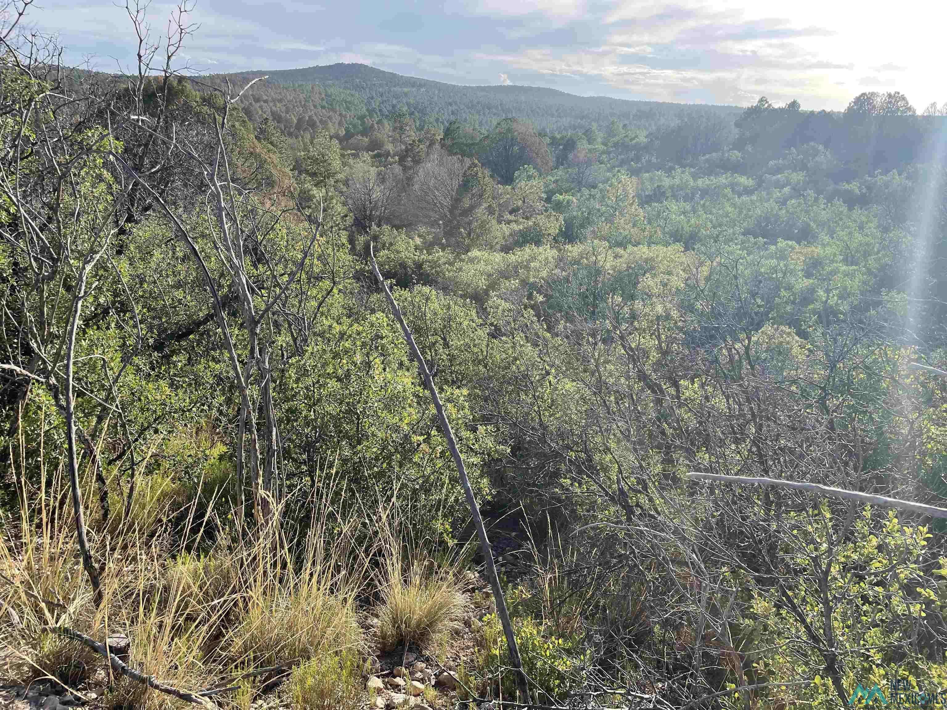 Timberon, NM 88350,24 La Costa Dr Drive #Lot 27 La Costa Dr
