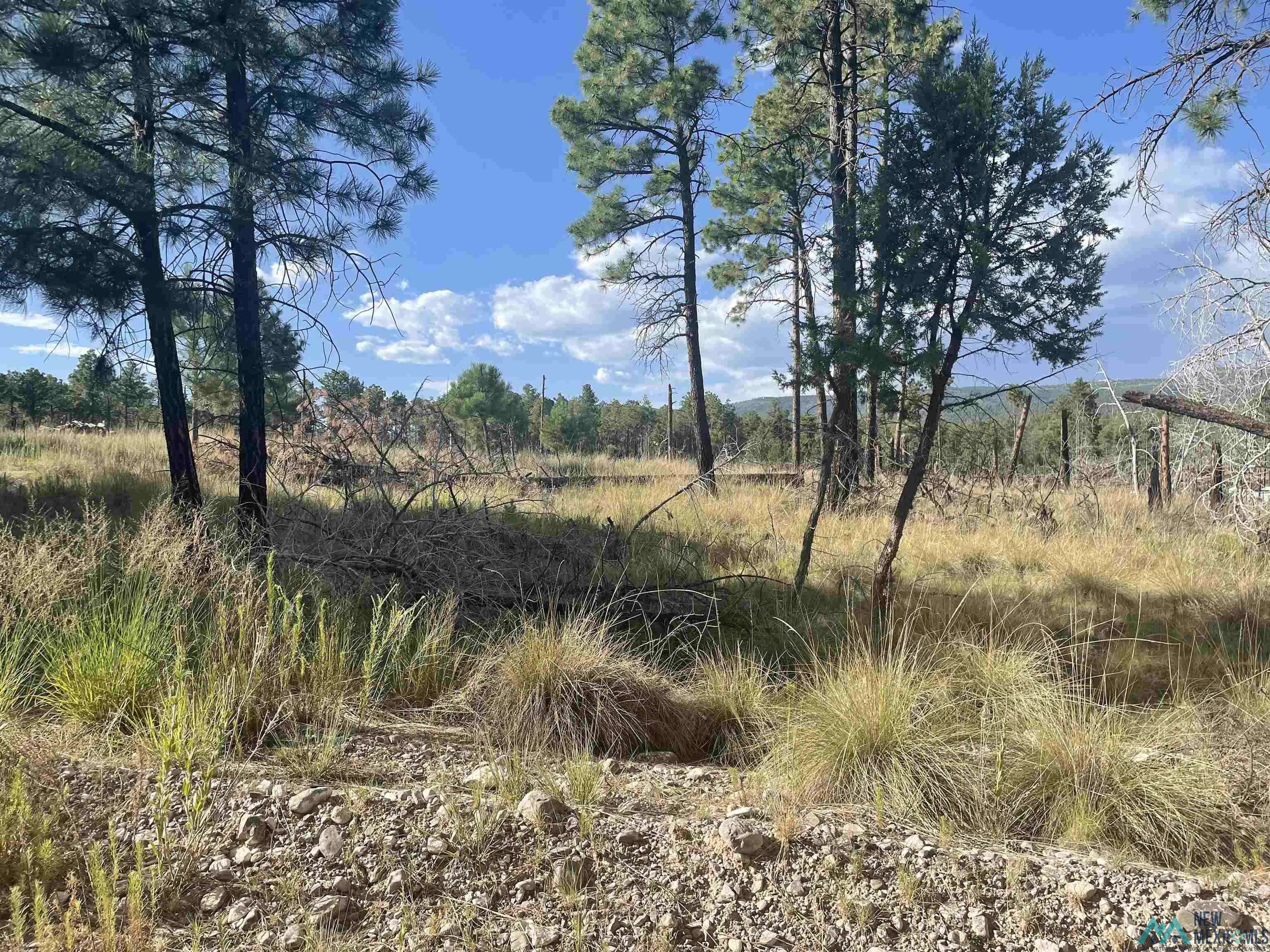 Timberon, NM 88350,27 Balkans Drive #Lot 19 Balkans
